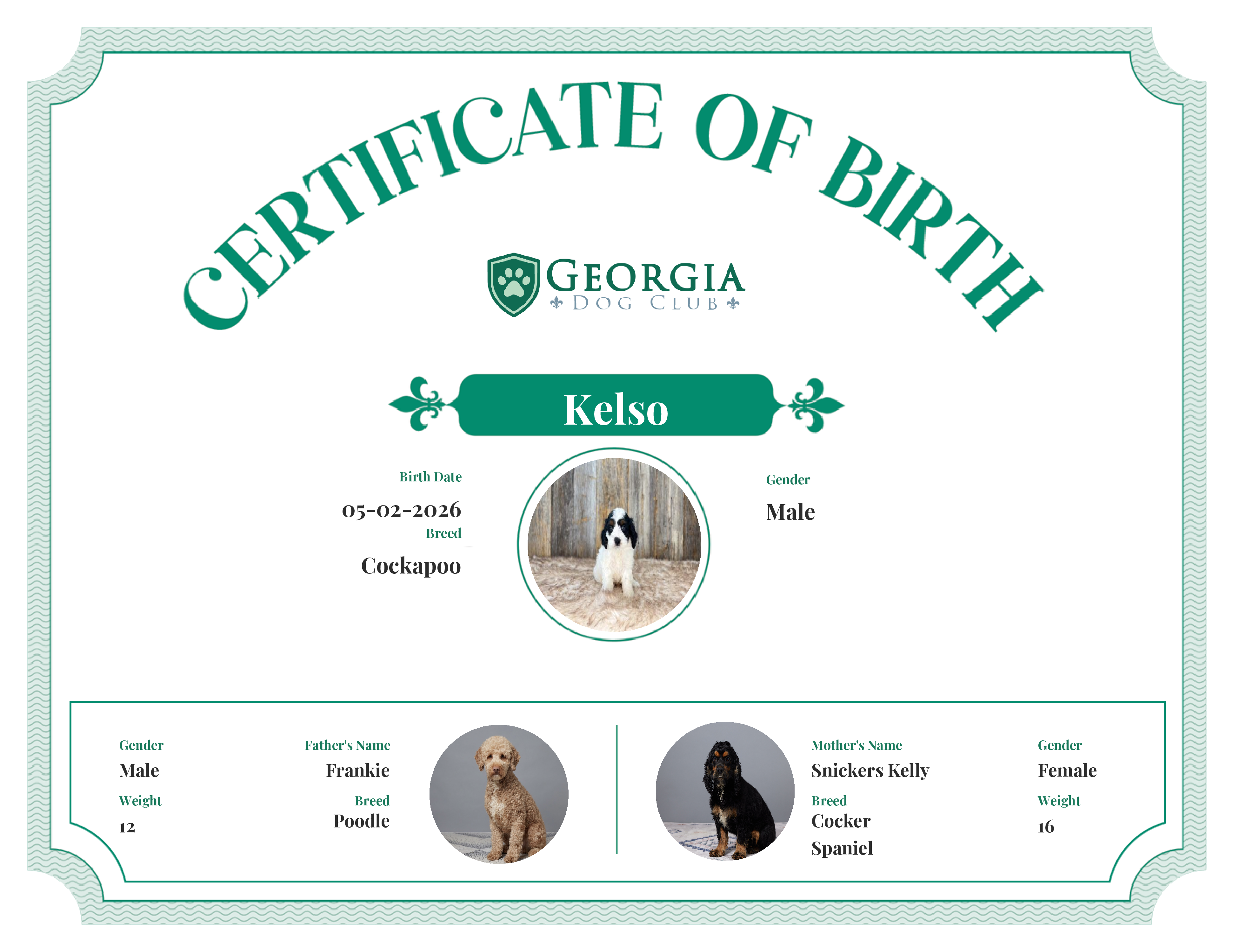 Kelso's Birth Certificate