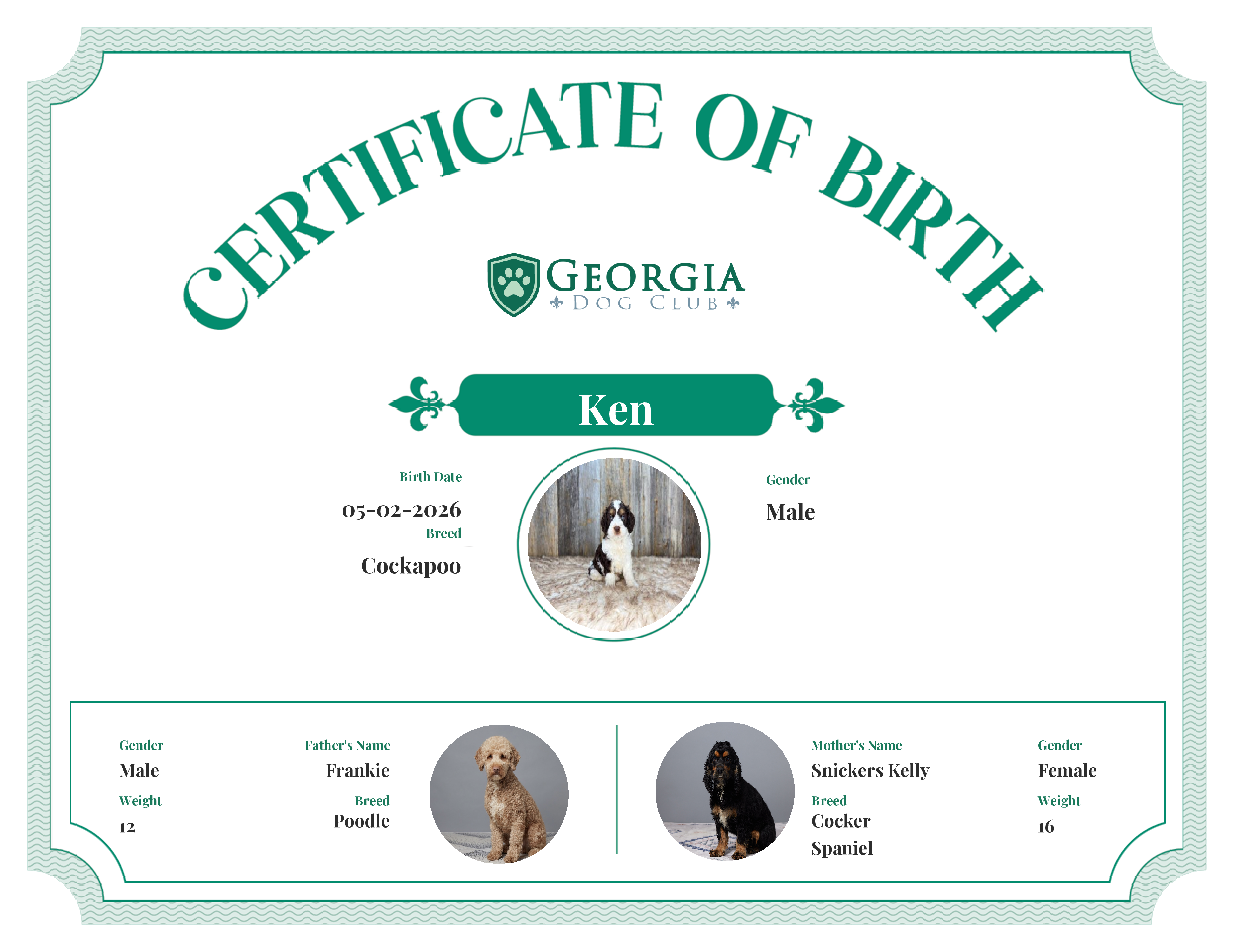 Ken's Birth Certificate