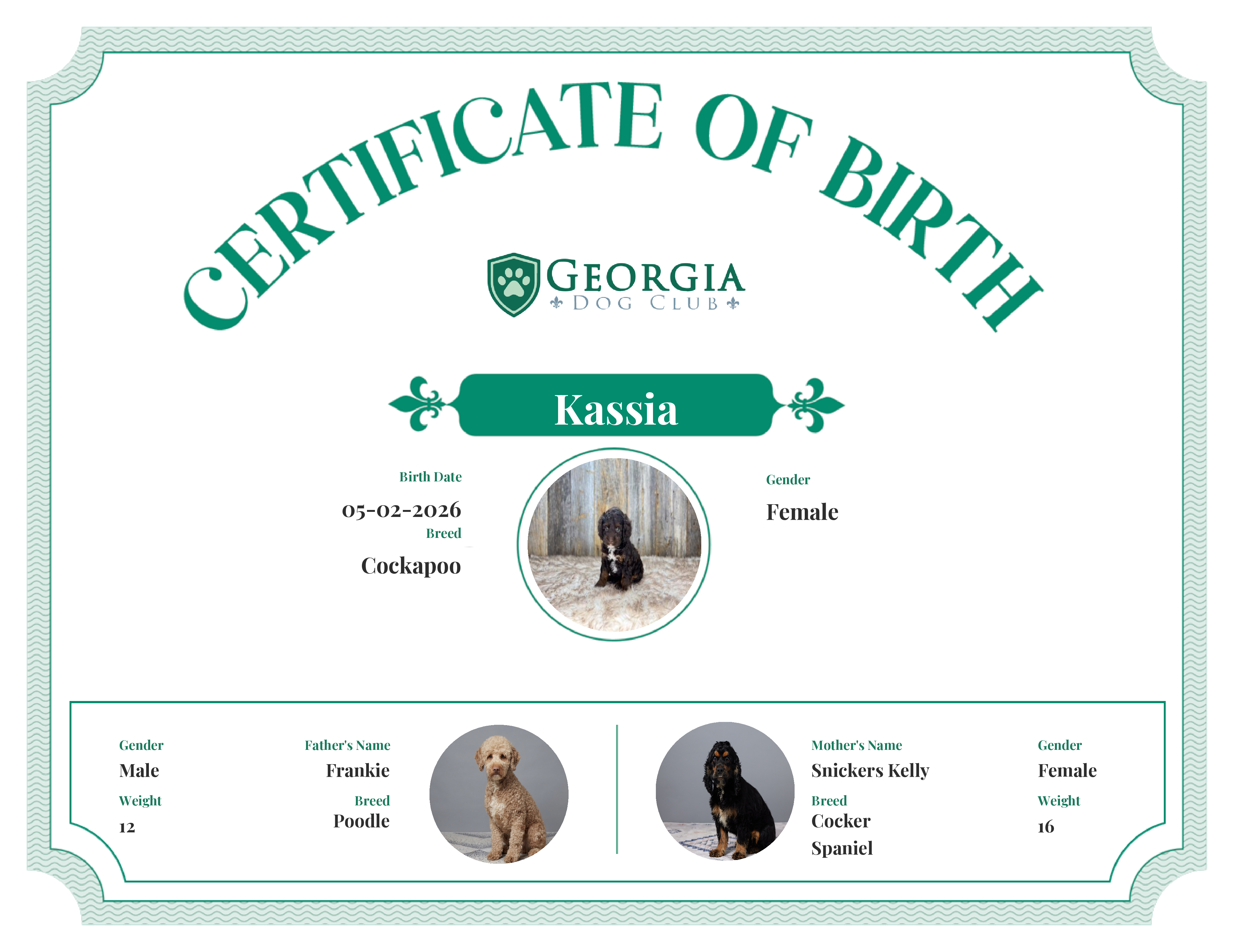 Kassia's Birth Certificate