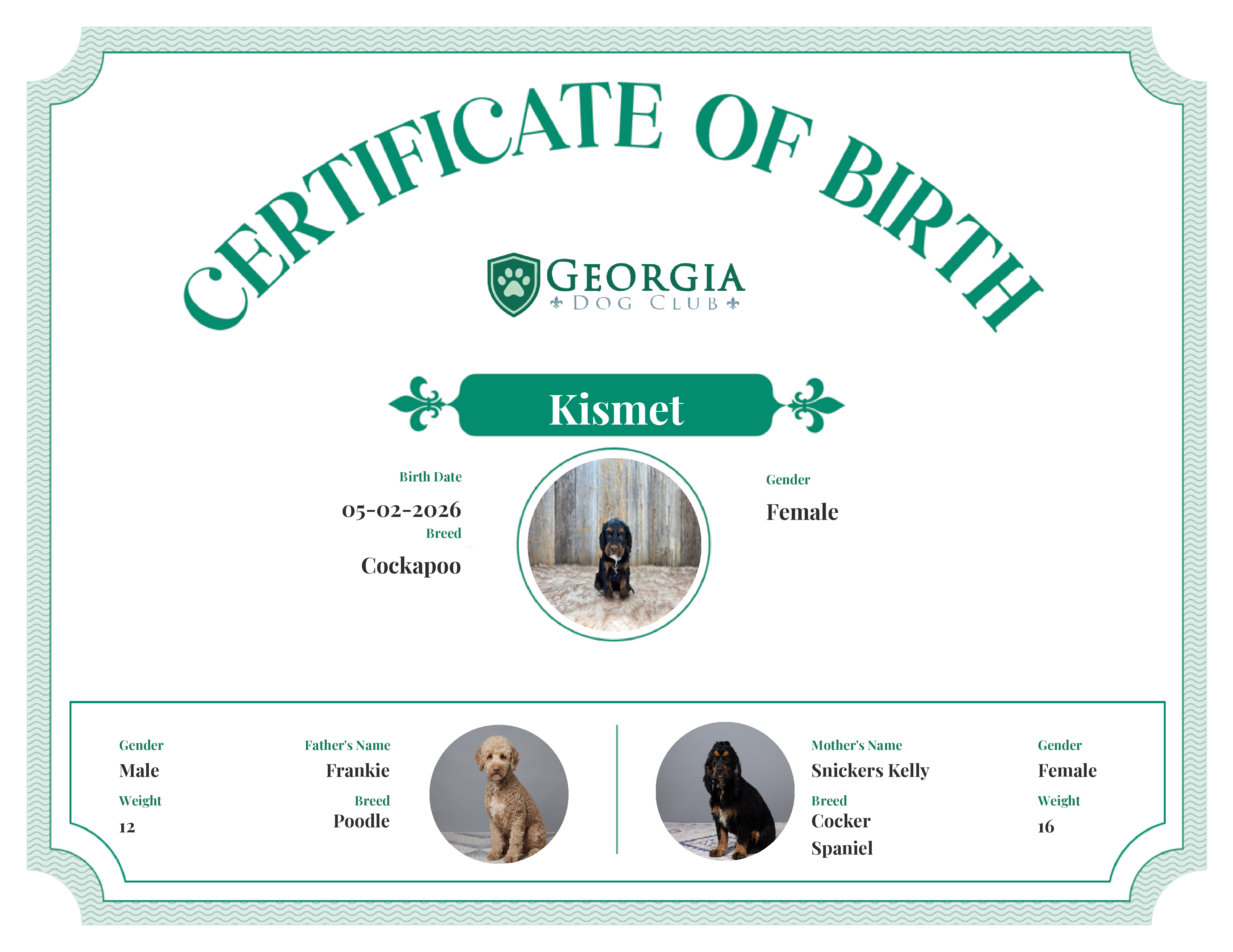 Kismet's Birth Certificate