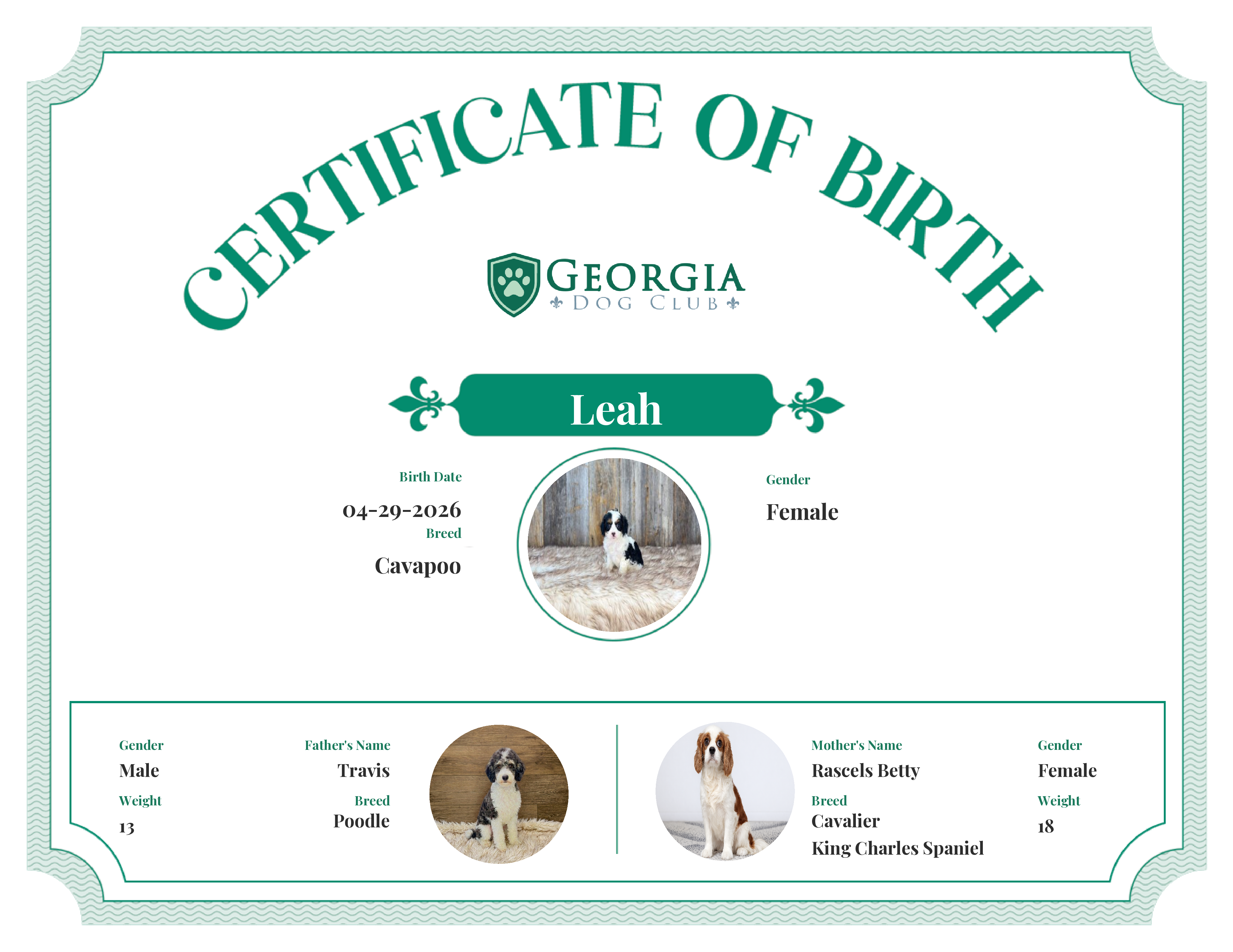 Leah's Birth Certificate