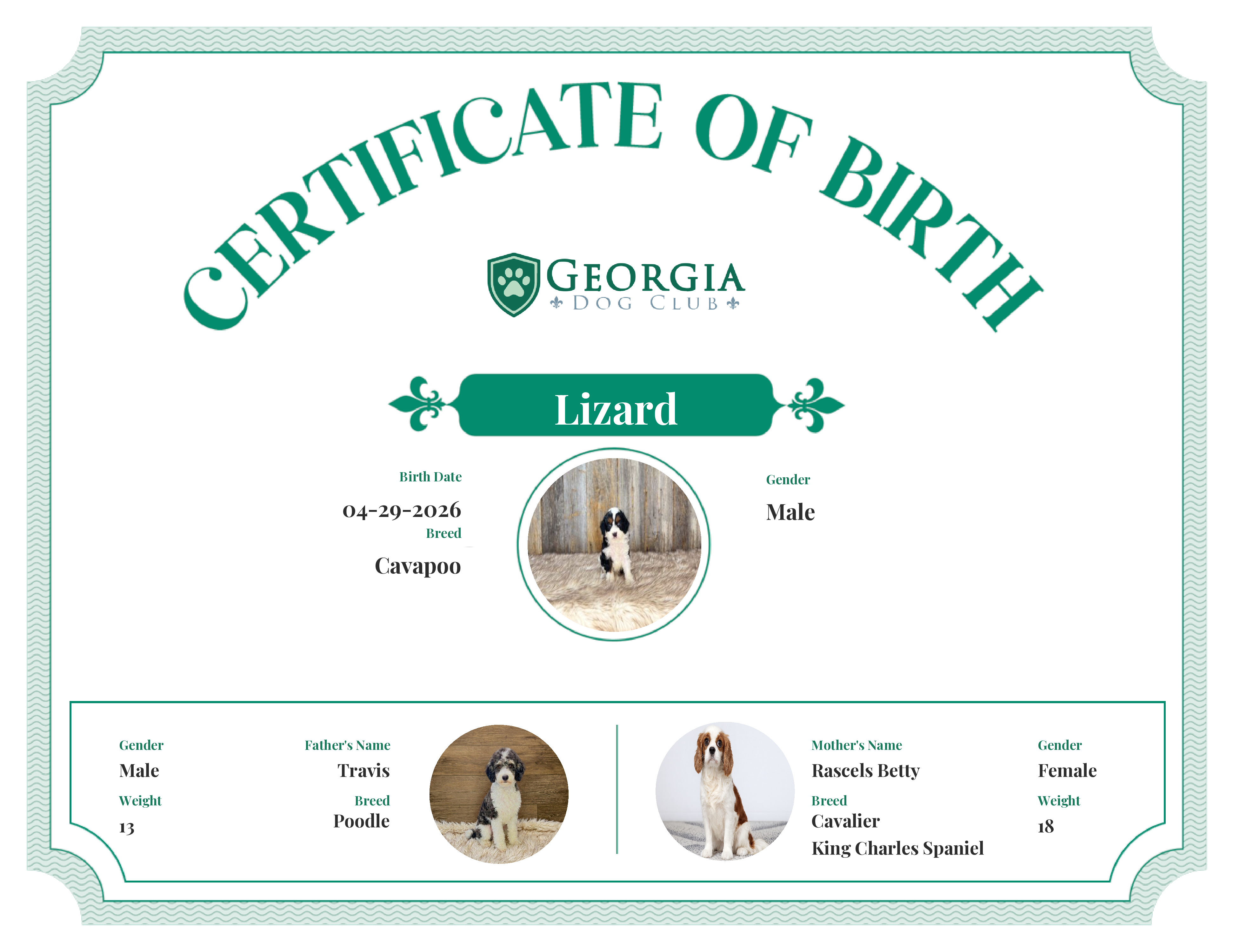 Lizard's Birth Certificate