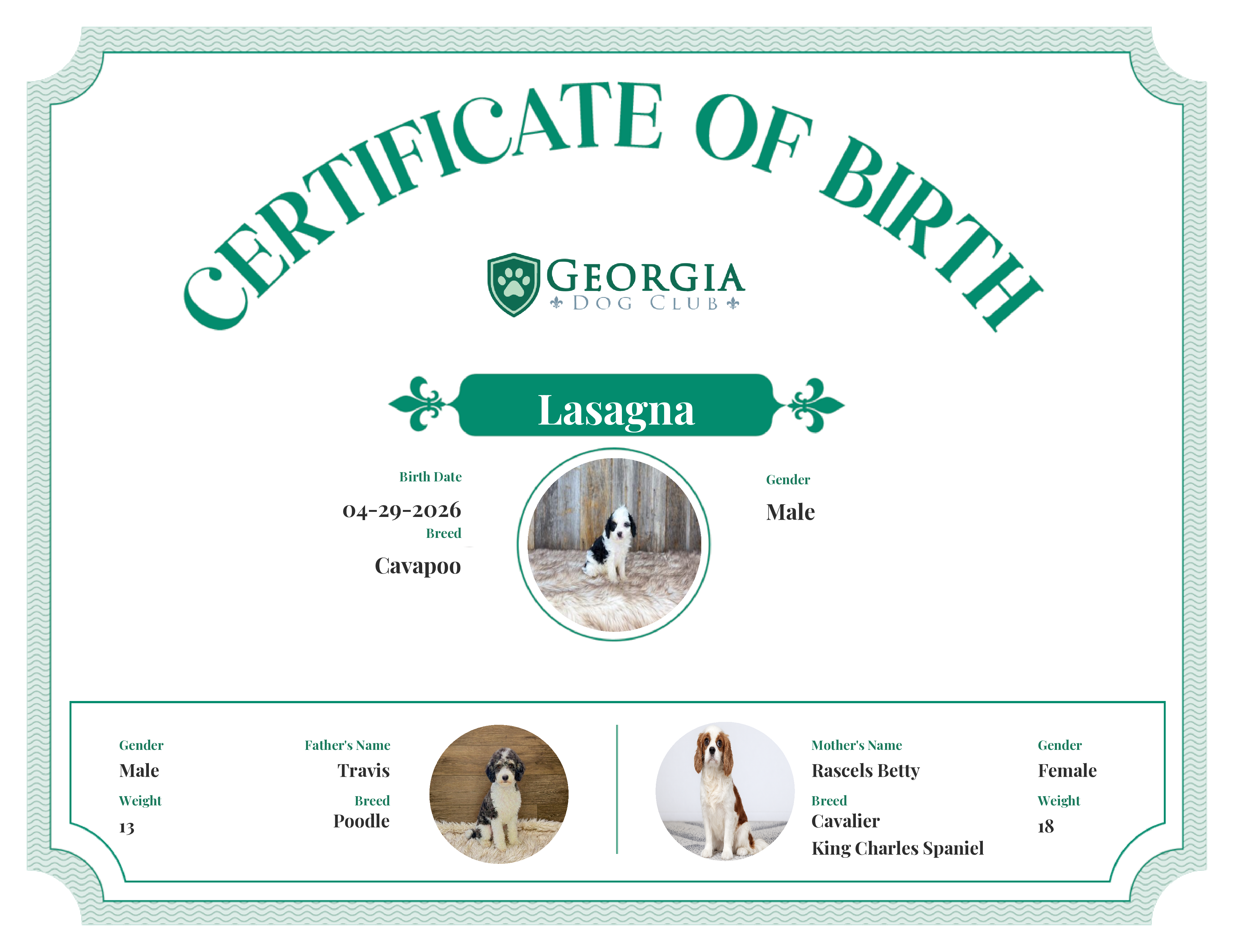 Lasagna's Birth Certificate