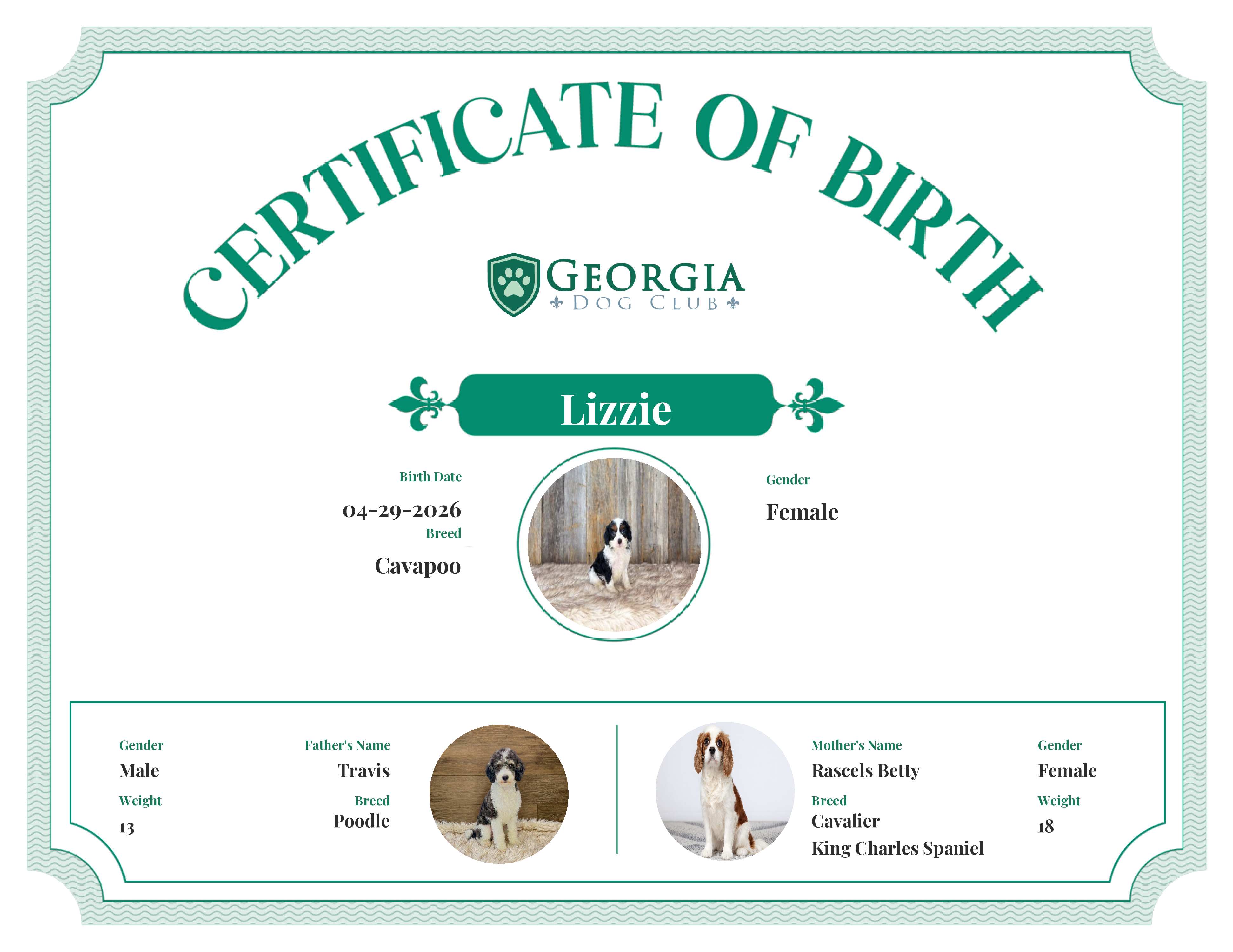 Lizzie's Birth Certificate