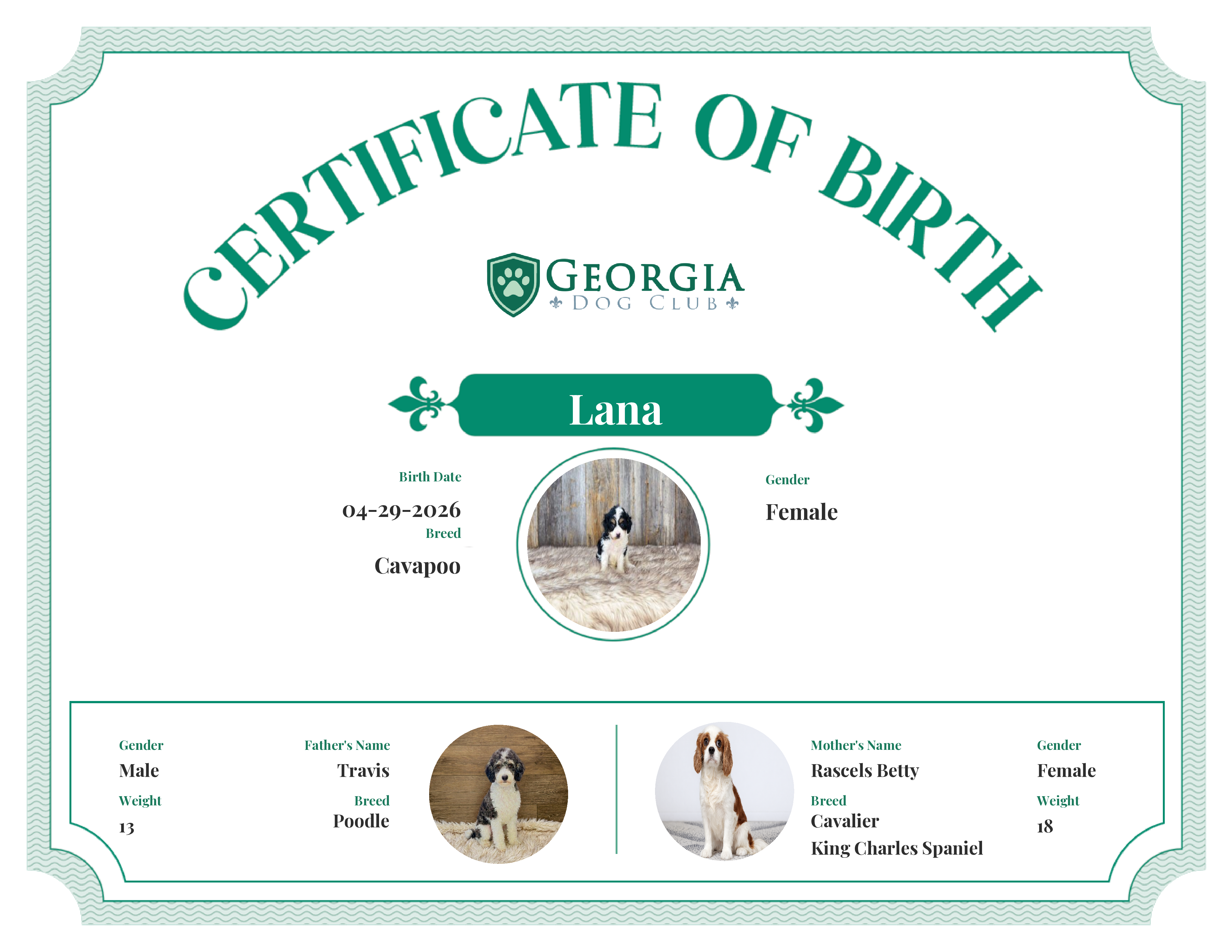 Lana's Birth Certificate