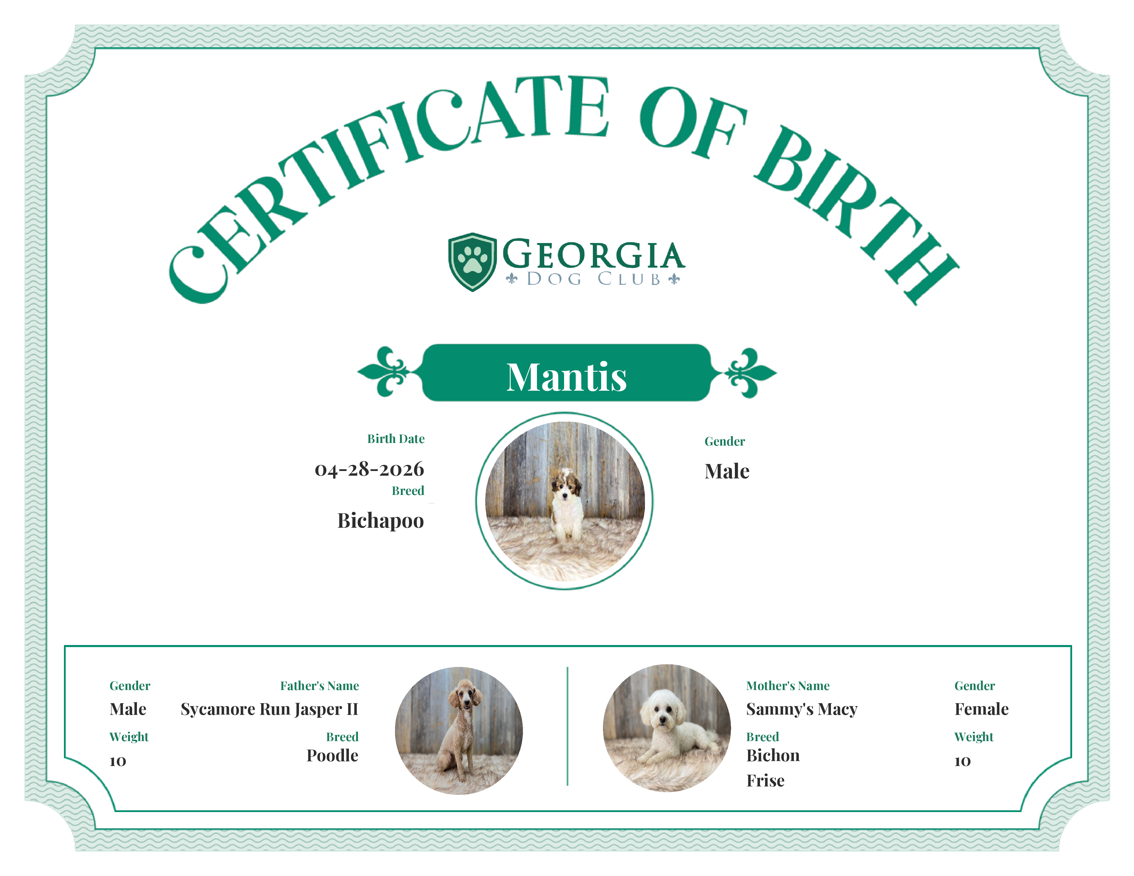 Mantis's Birth Certificate