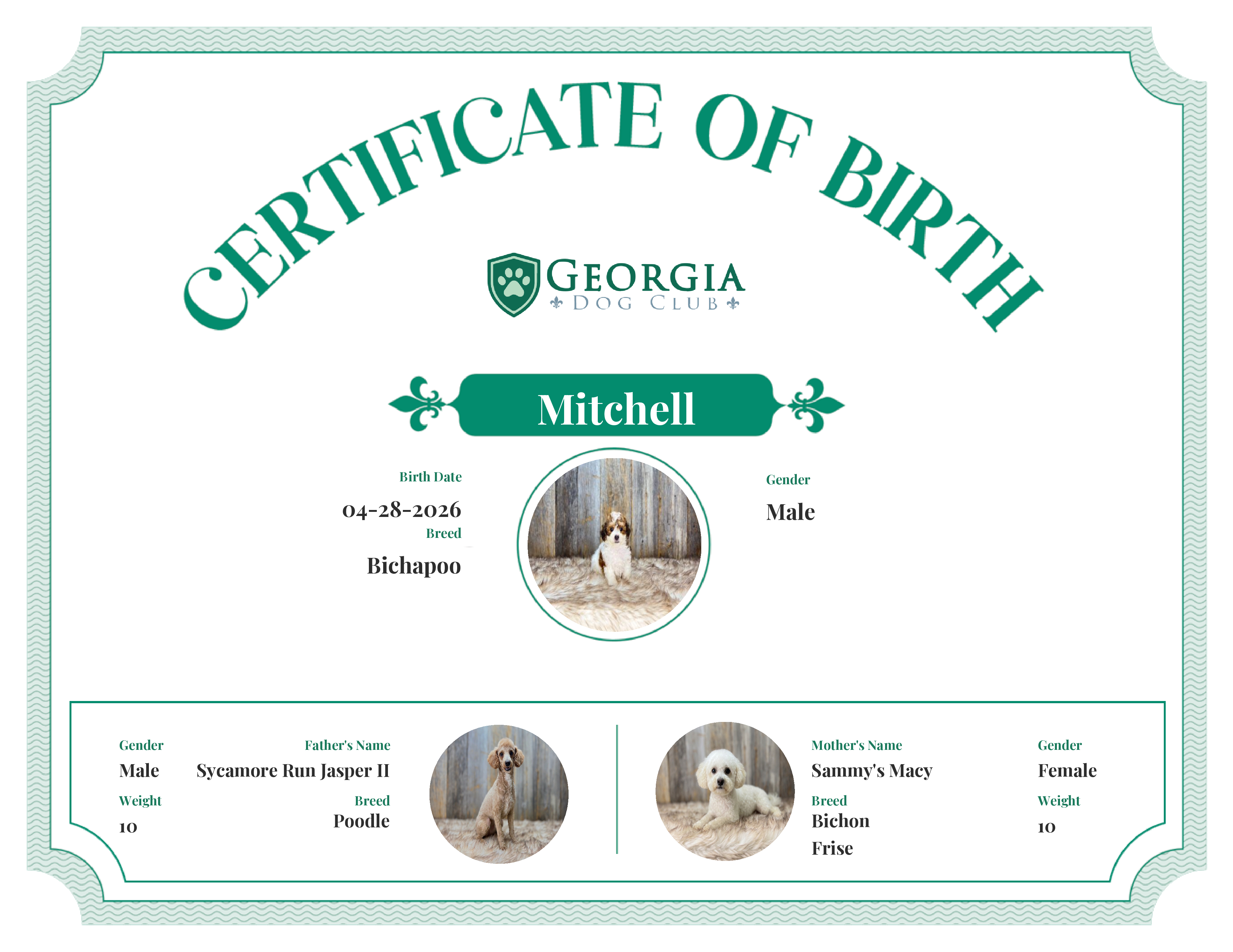 Mitchell's Birth Certificate