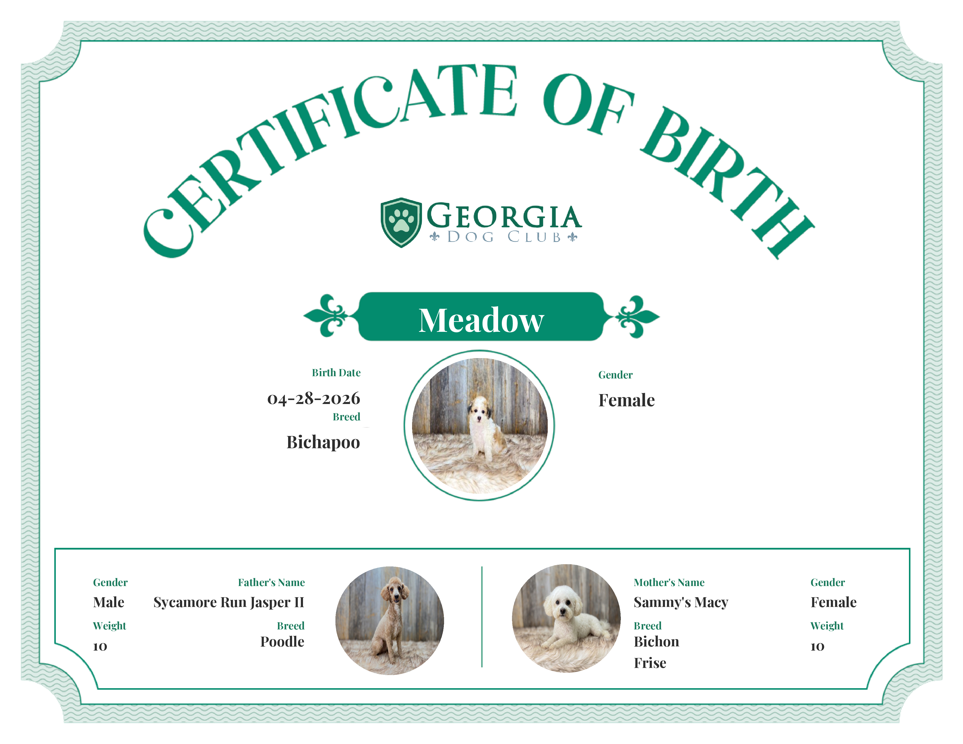 Meadow's Birth Certificate