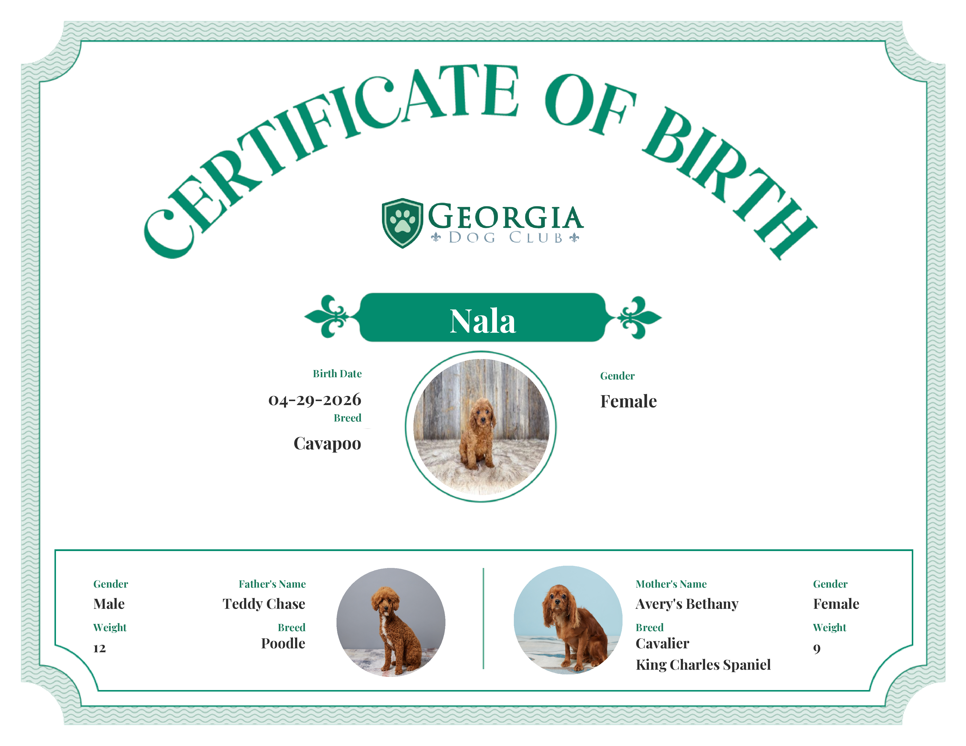 Nala's Birth Certificate