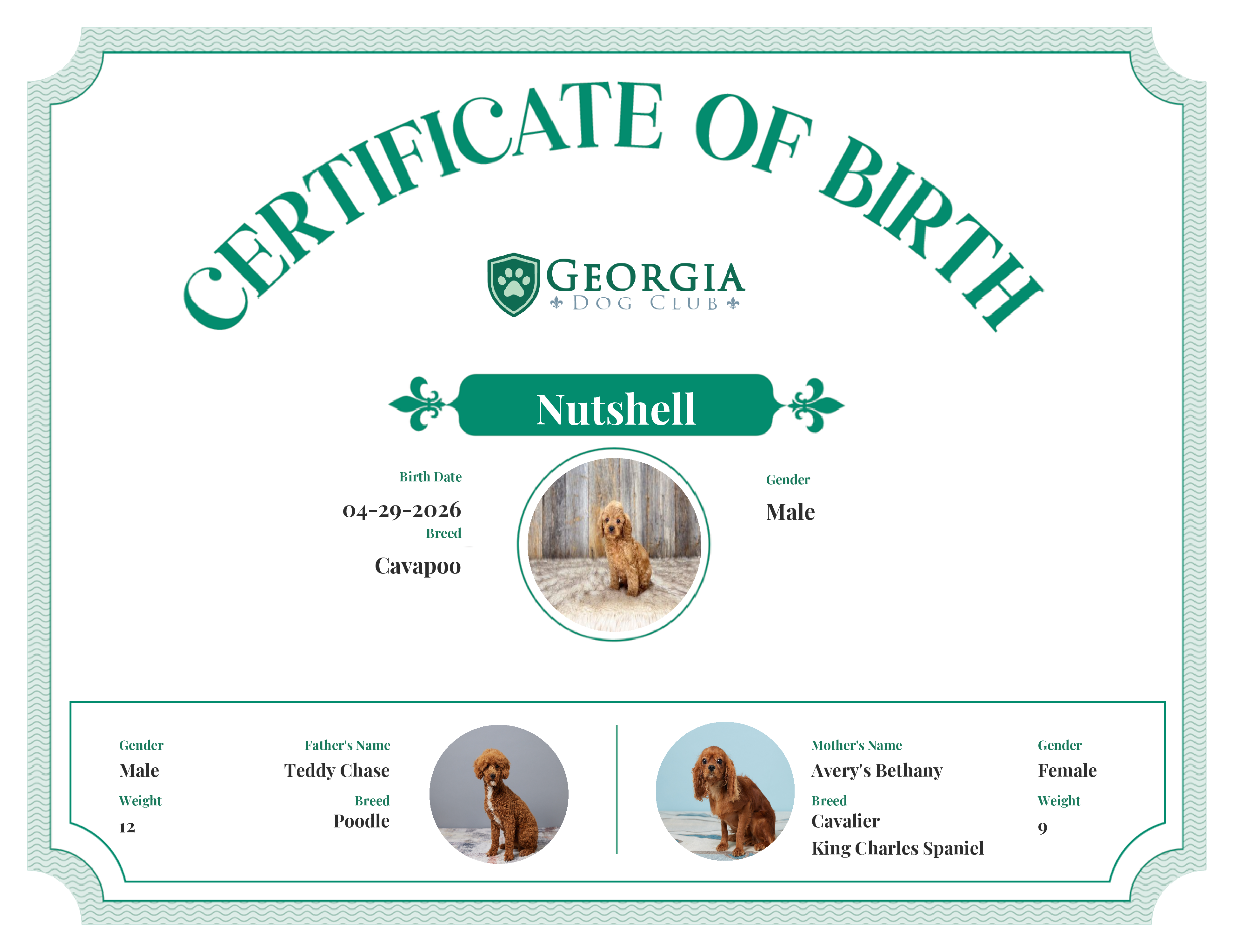 Nutshell's Birth Certificate