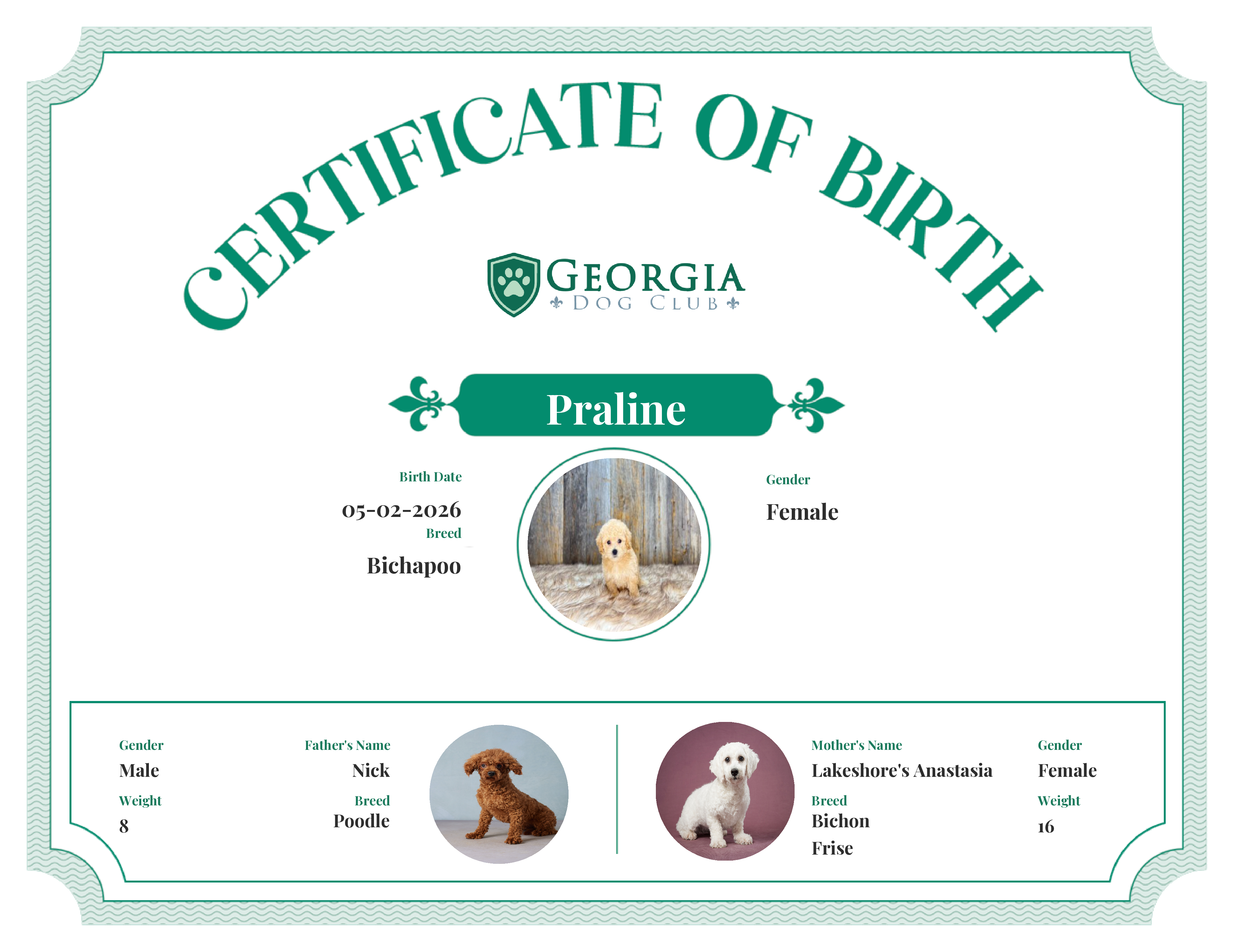 Praline's Birth Certificate