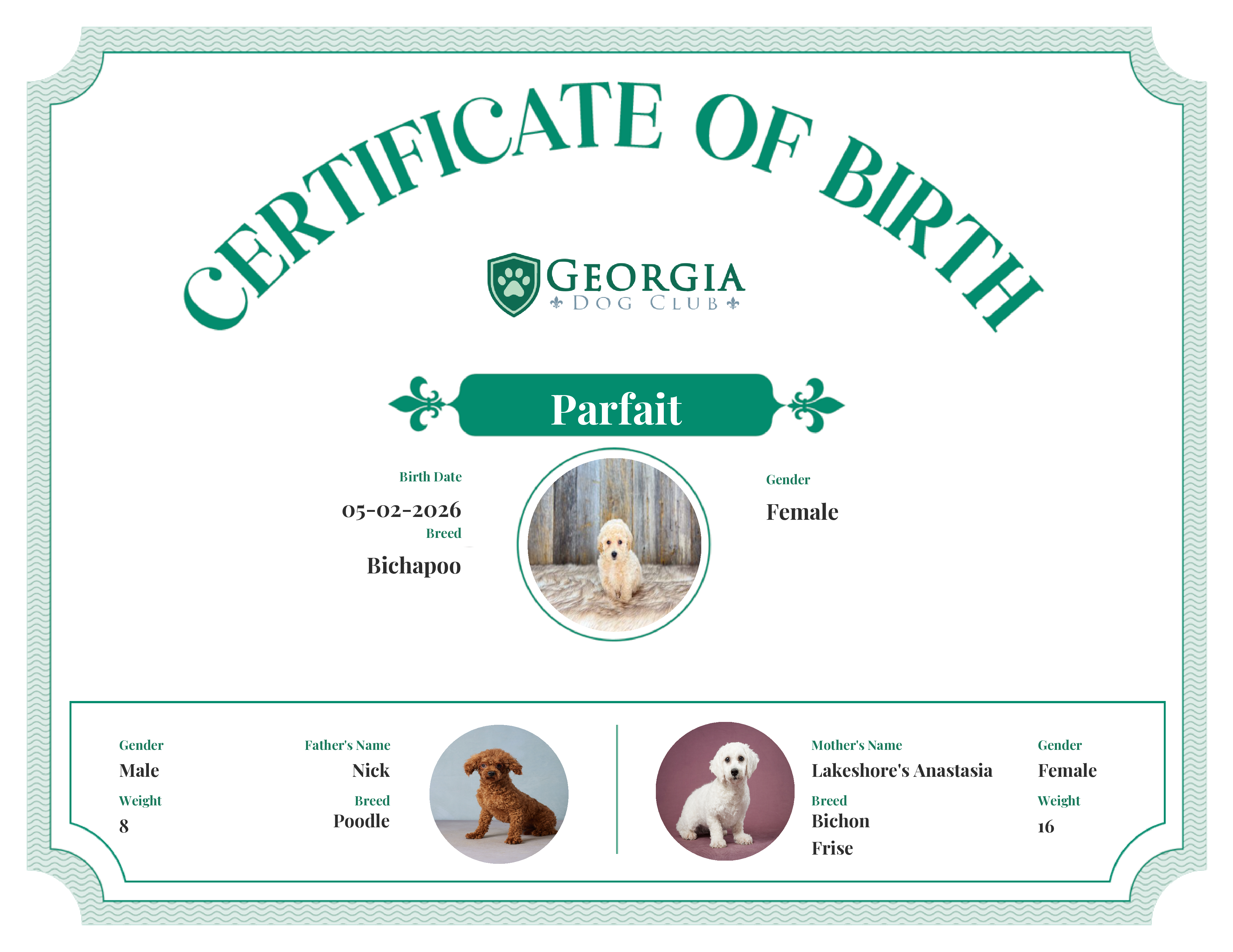 Parfait's Birth Certificate