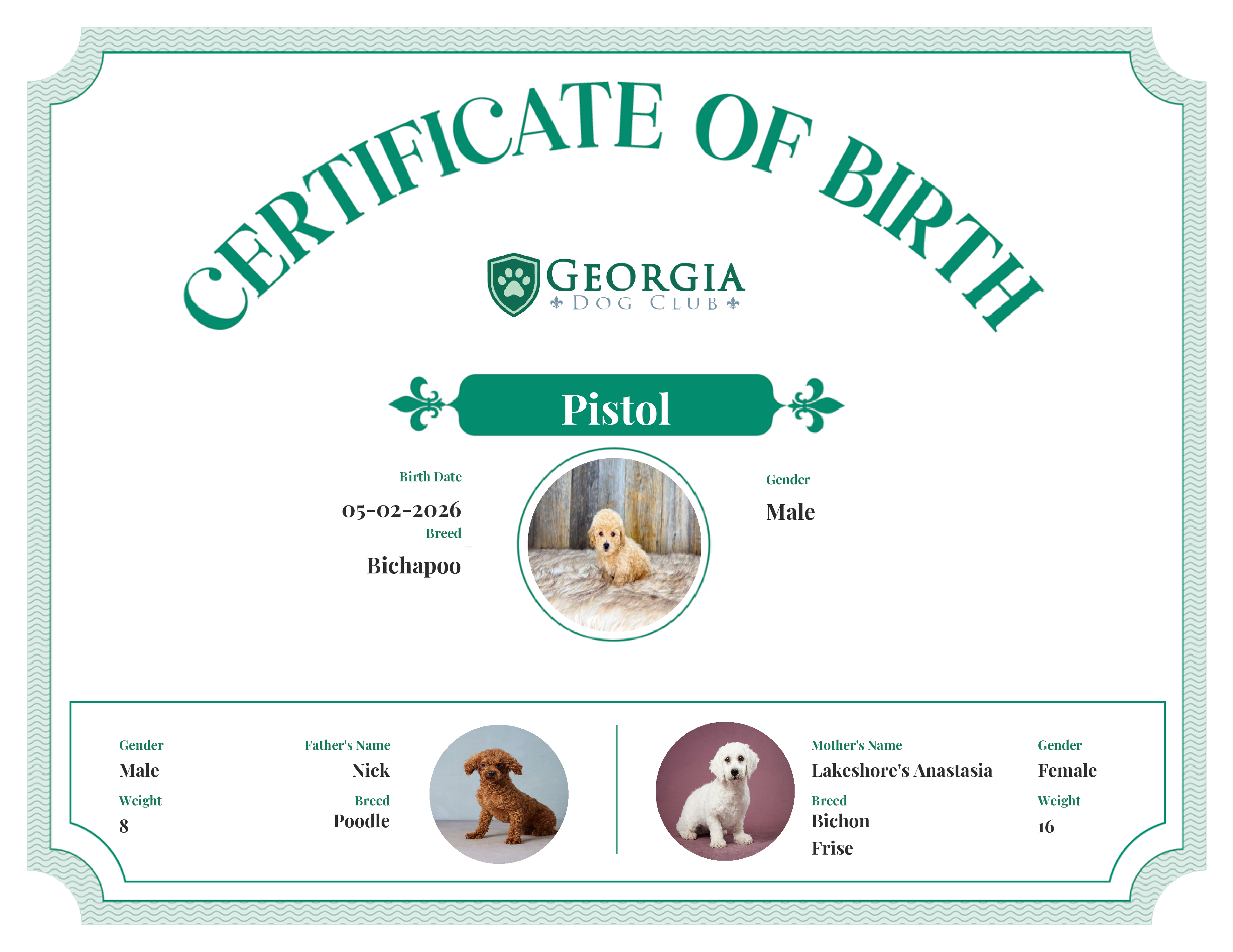 Pistol's Birth Certificate