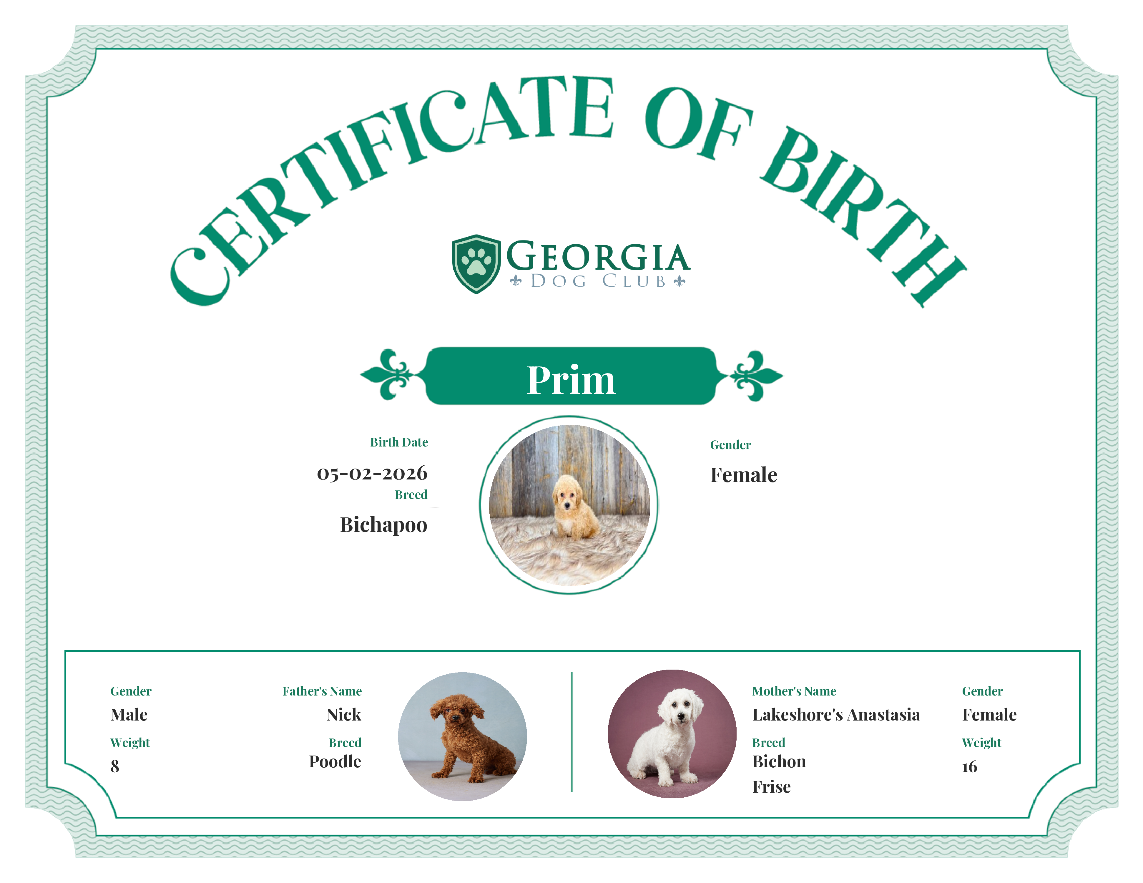 Prim's Birth Certificate