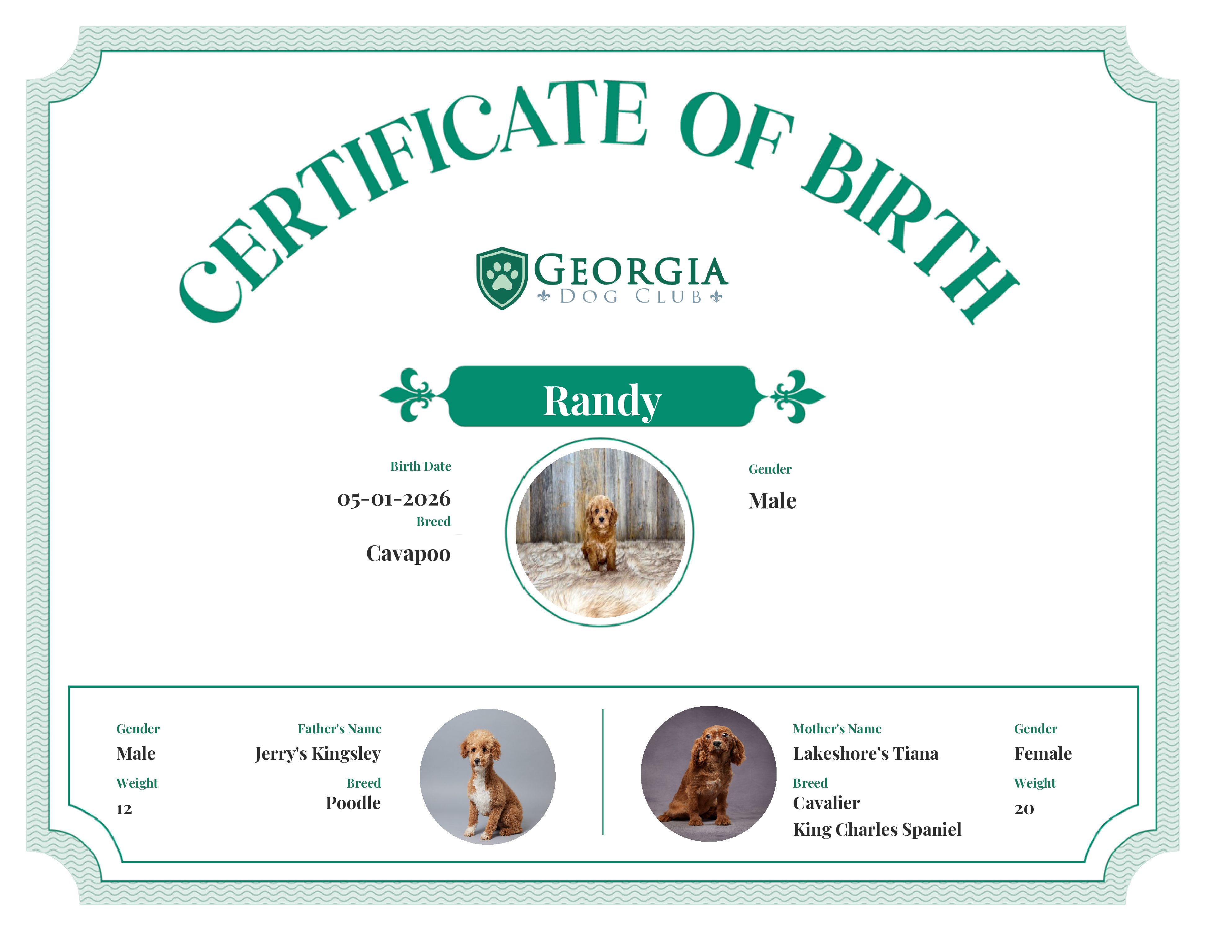 Randy's Birth Certificate