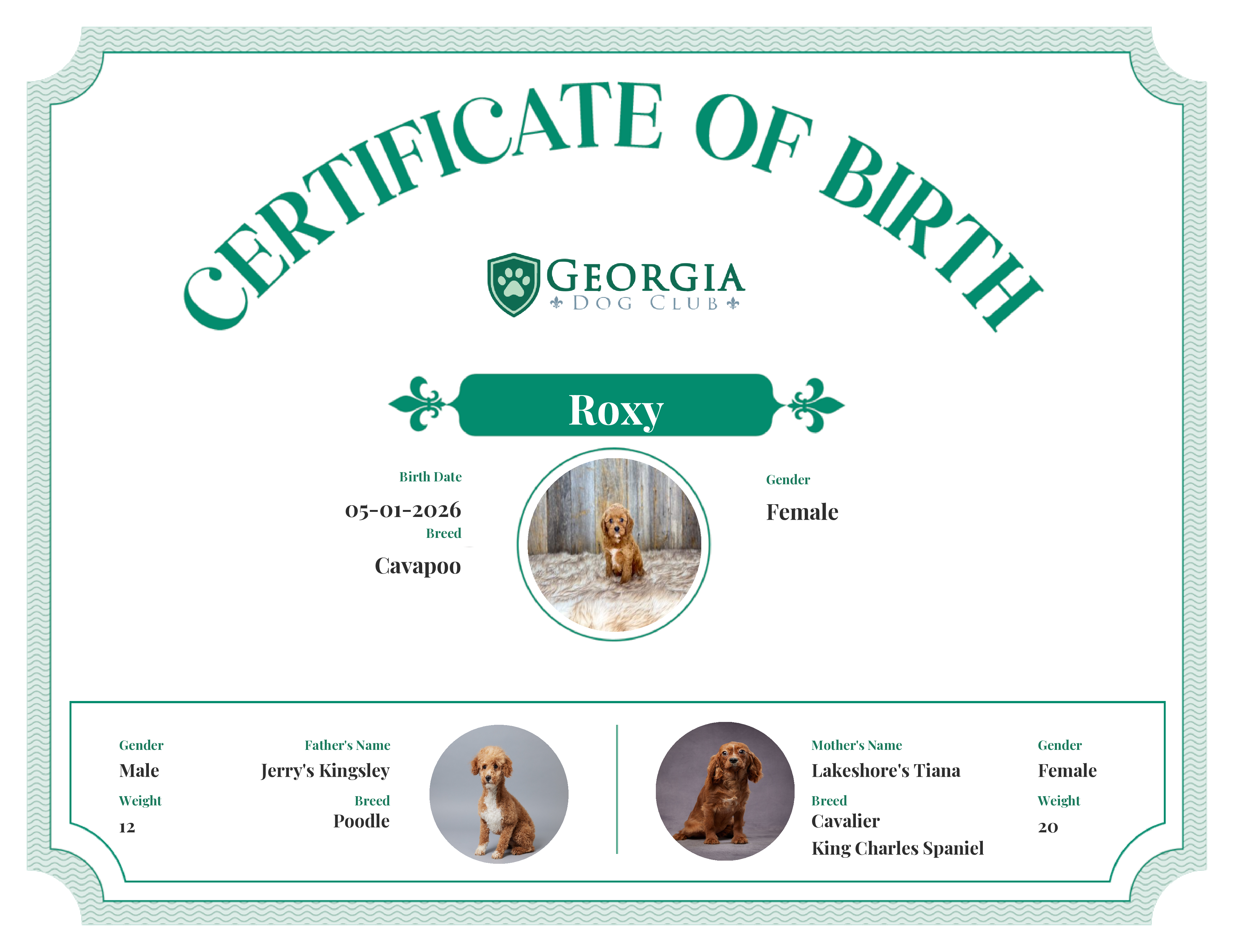Roxy's Birth Certificate
