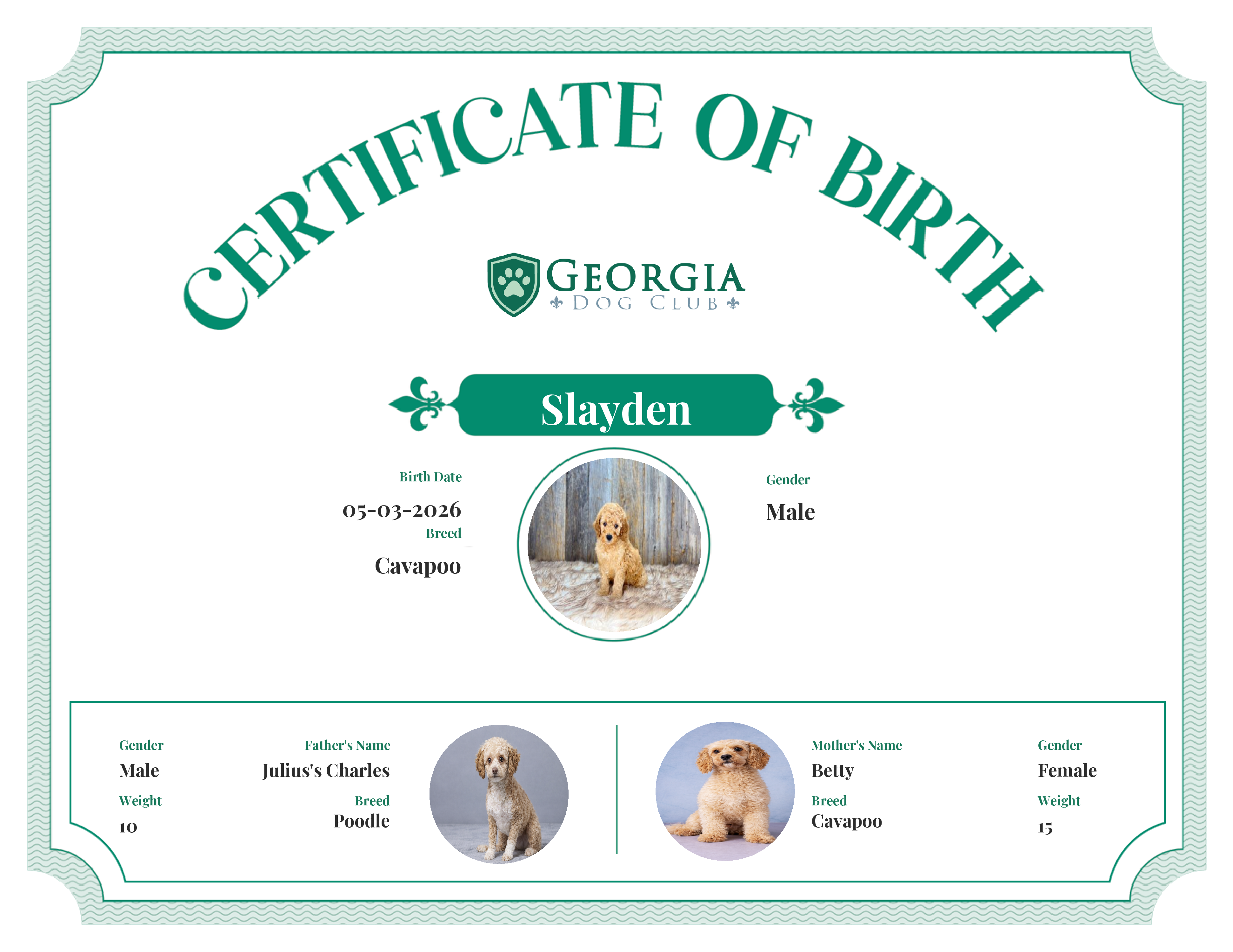 Slayden's Birth Certificate