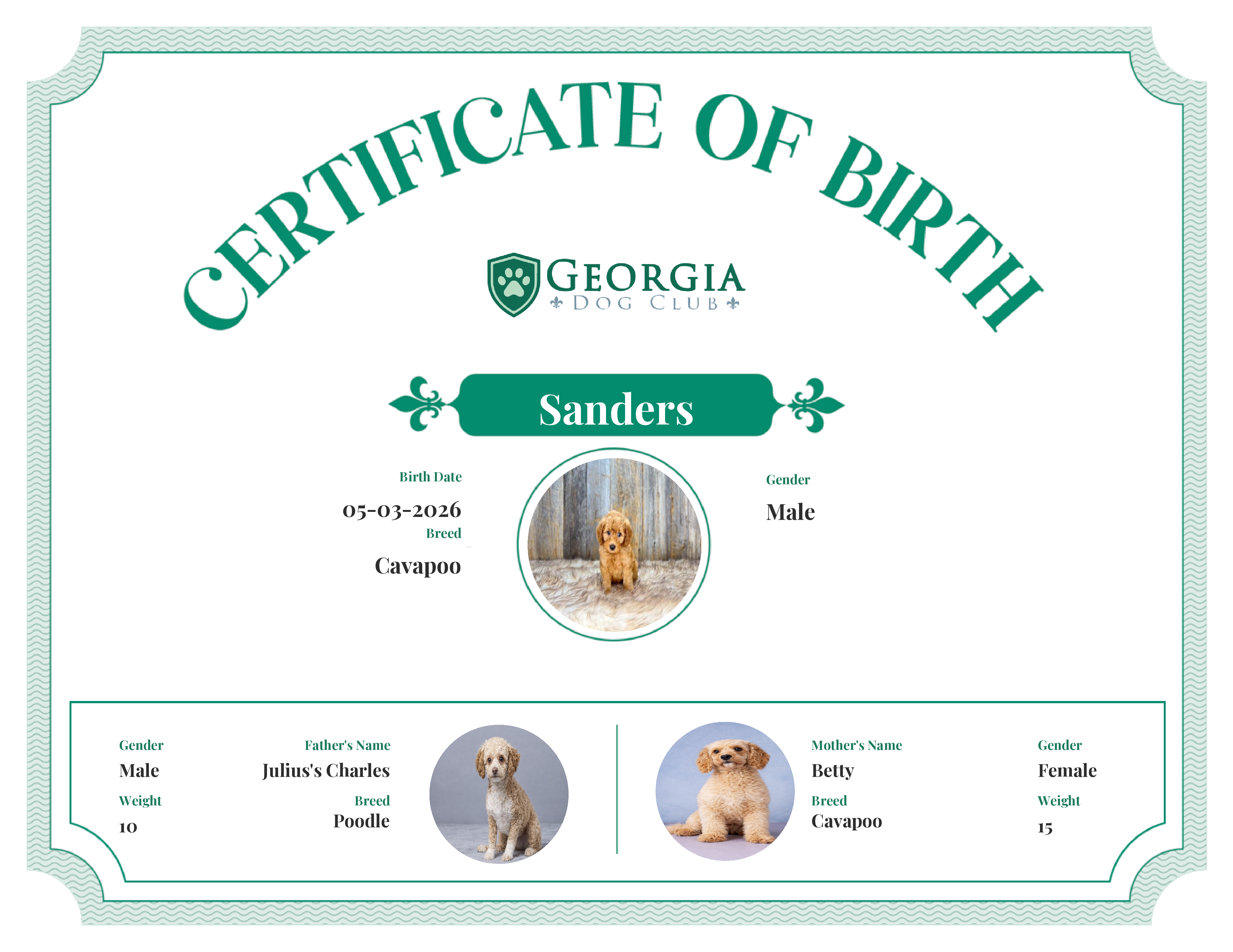 Sanders's Birth Certificate