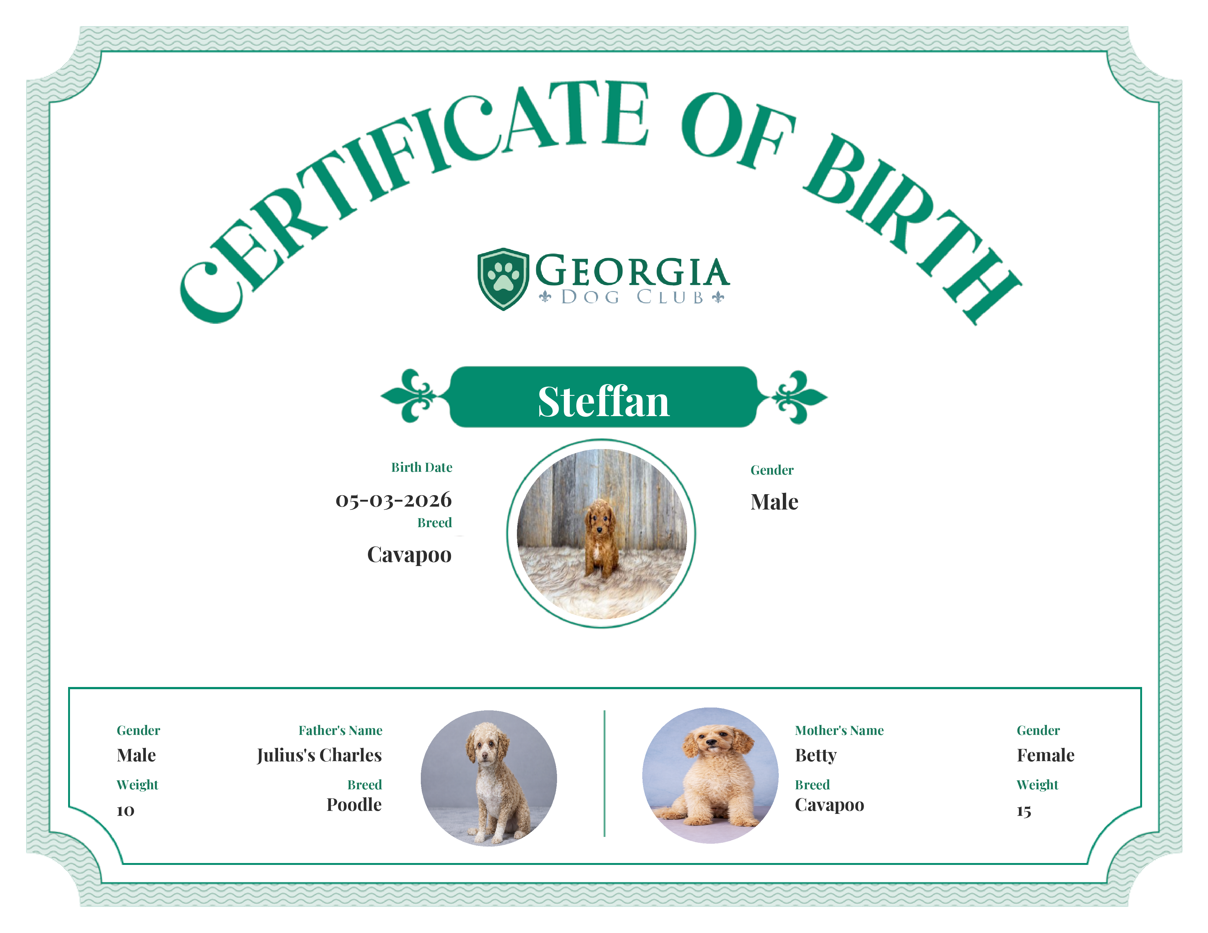 Steffan's Birth Certificate