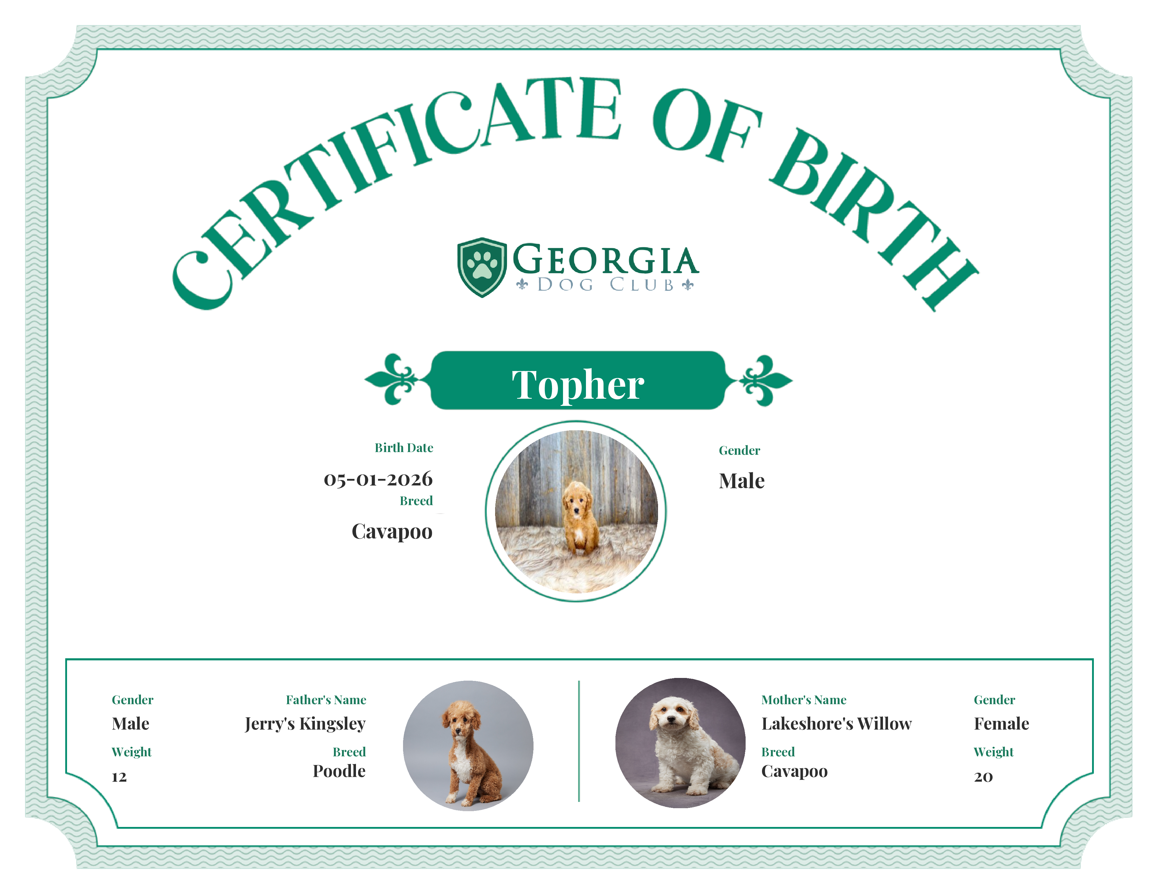 Topher's Birth Certificate