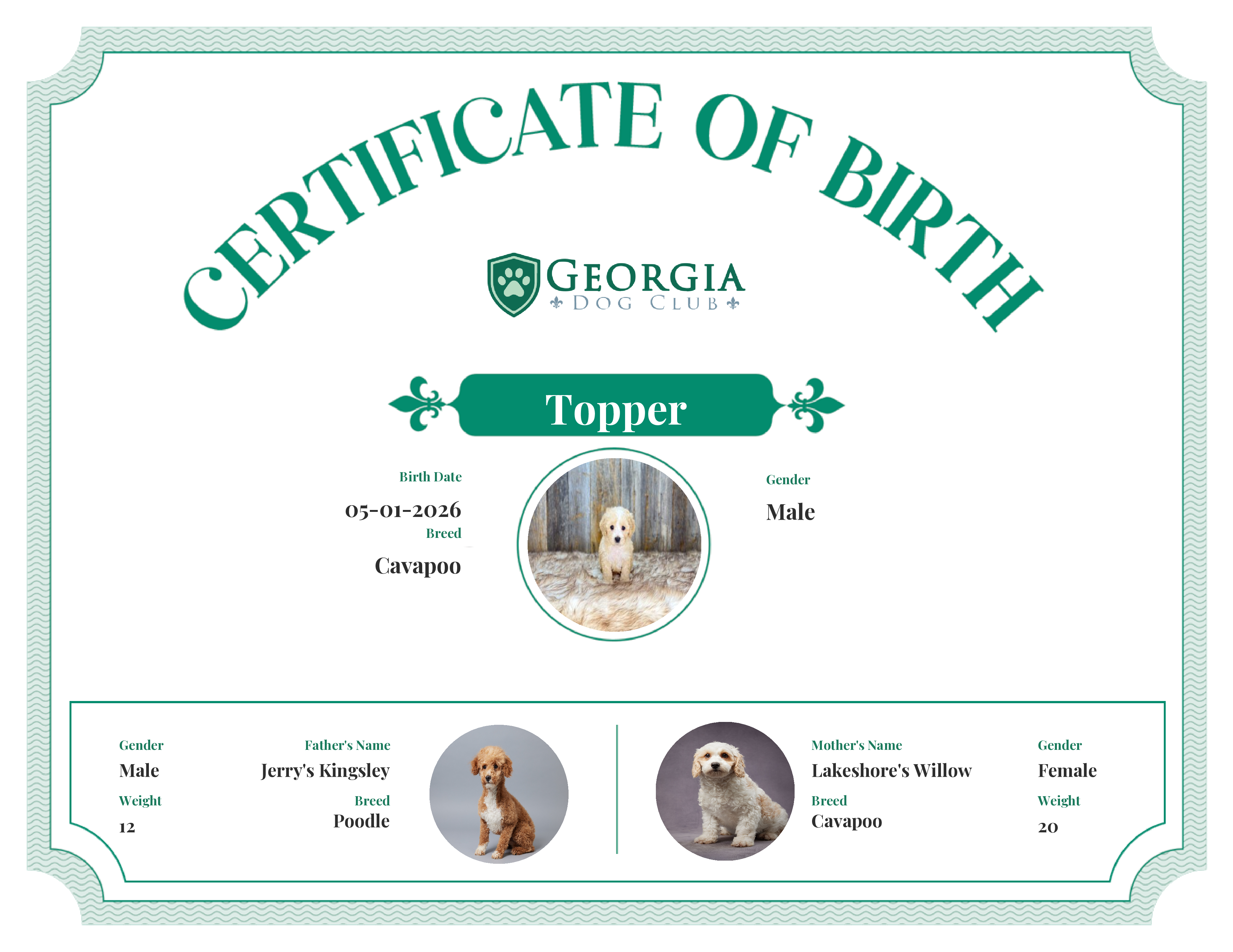 Topper's Birth Certificate