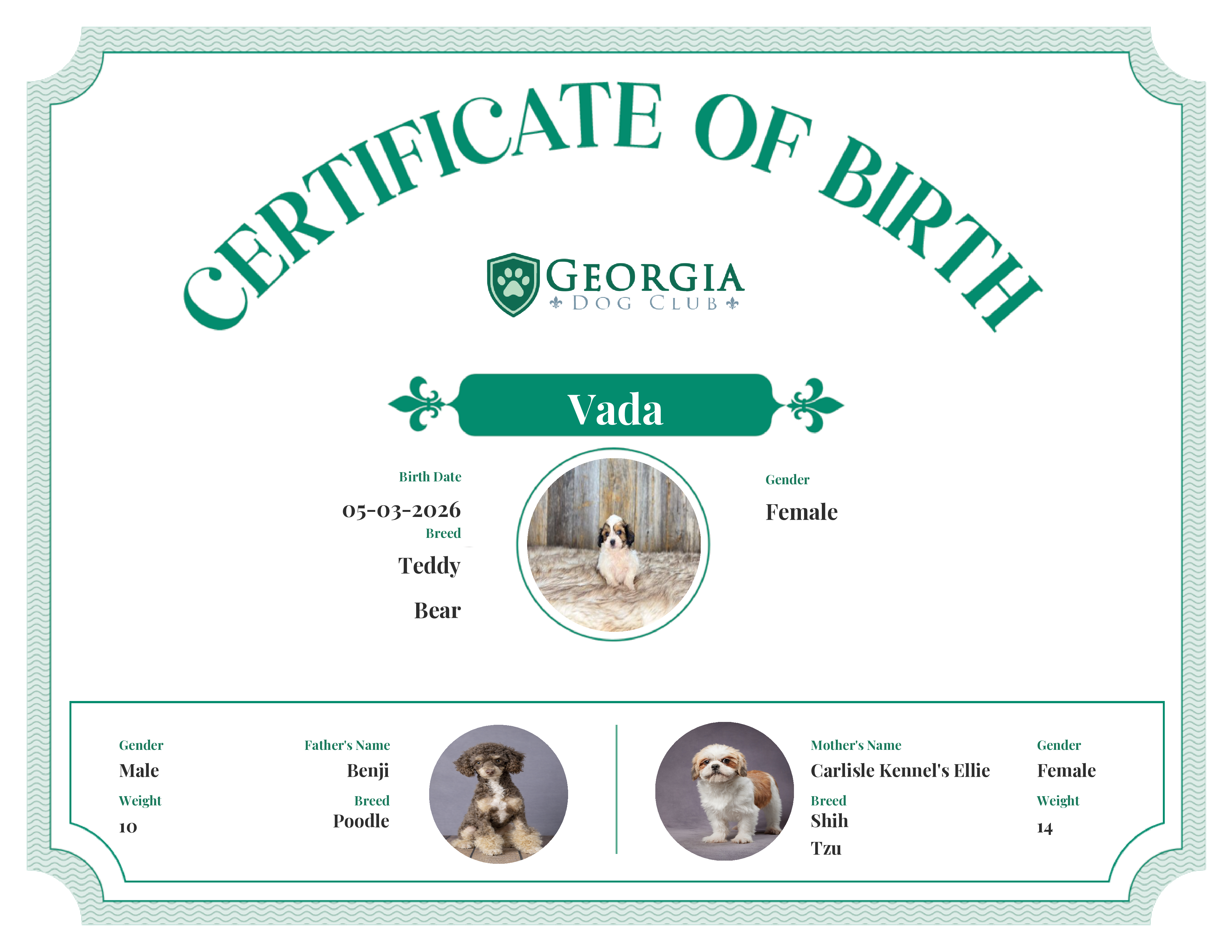 Vada's Birth Certificate