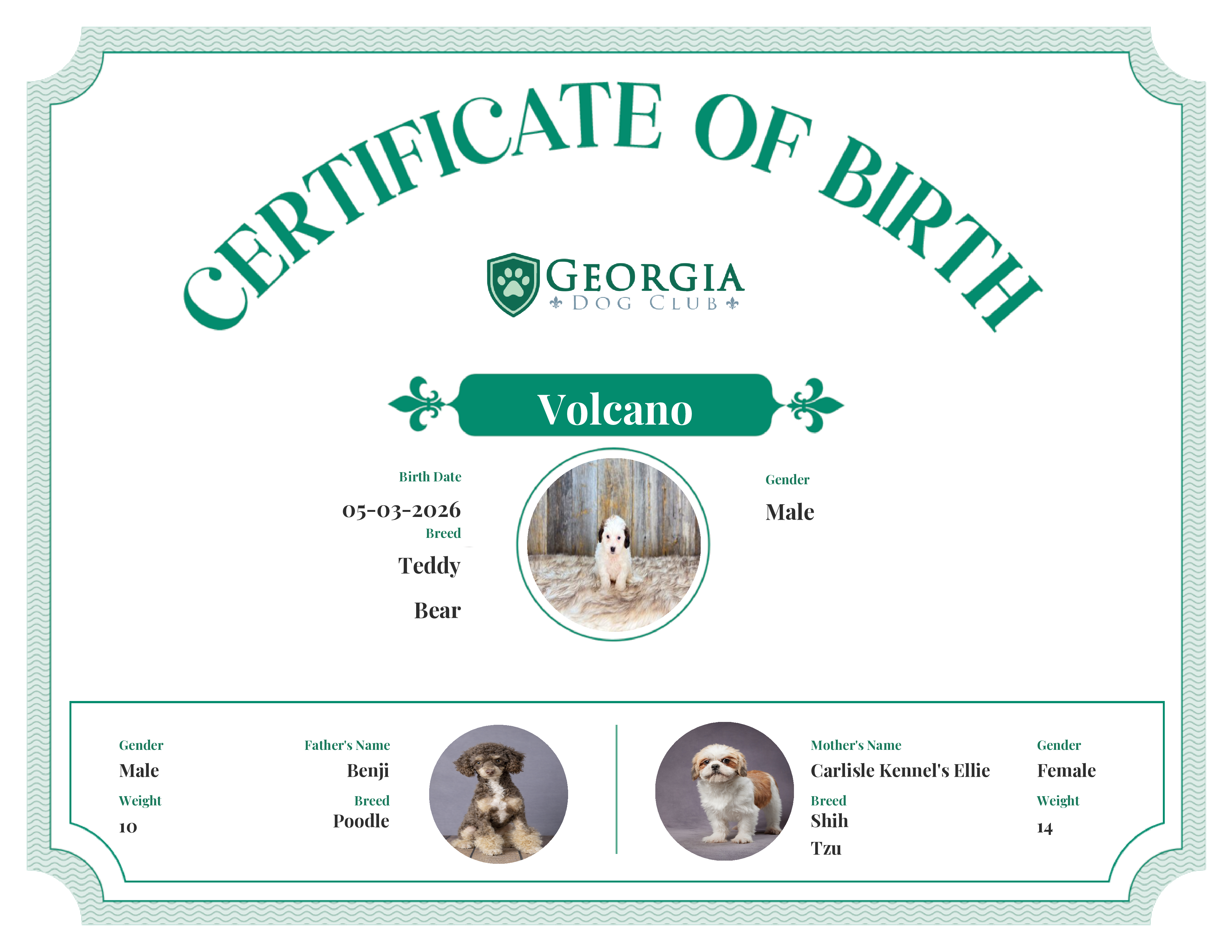 Volcano's Birth Certificate