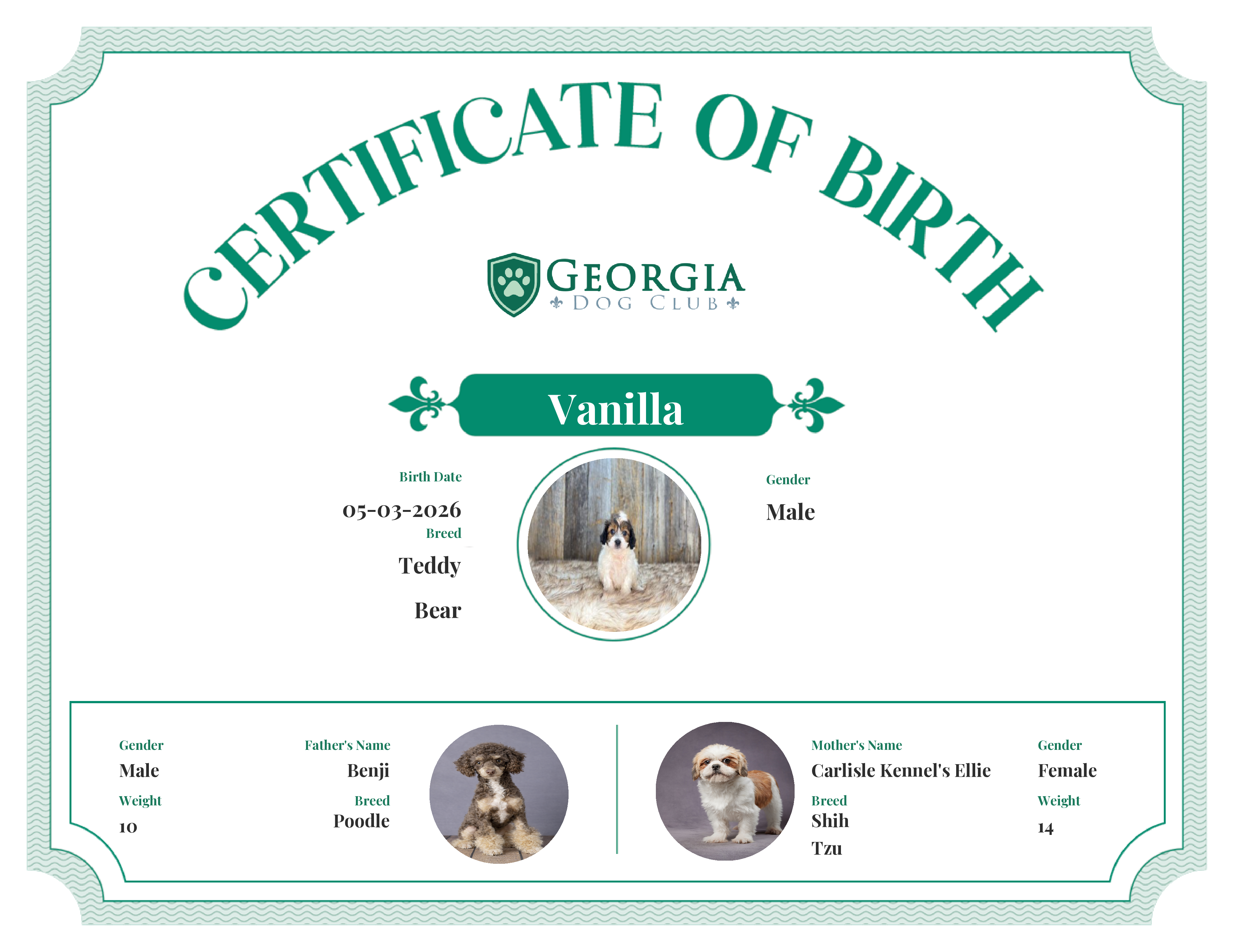 Vanilla's Birth Certificate