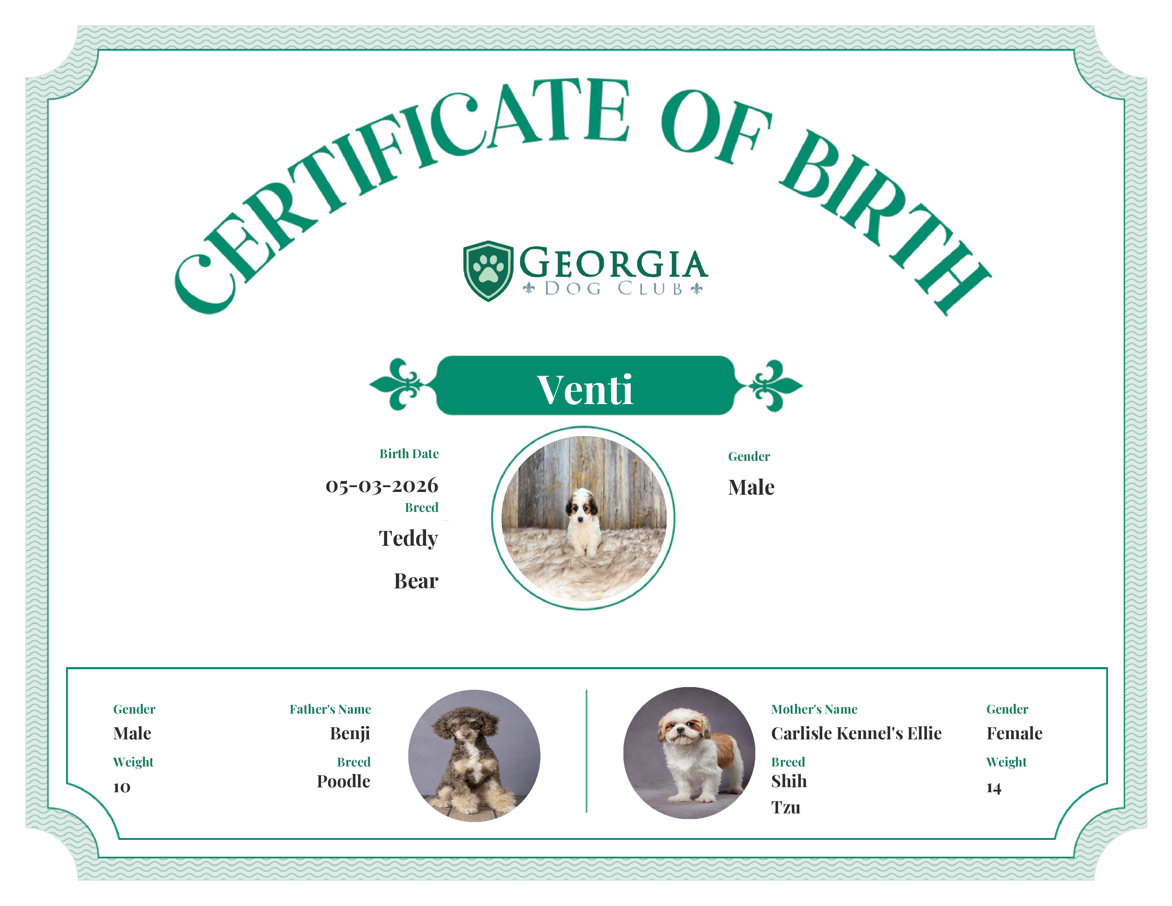 Venti's Birth Certificate