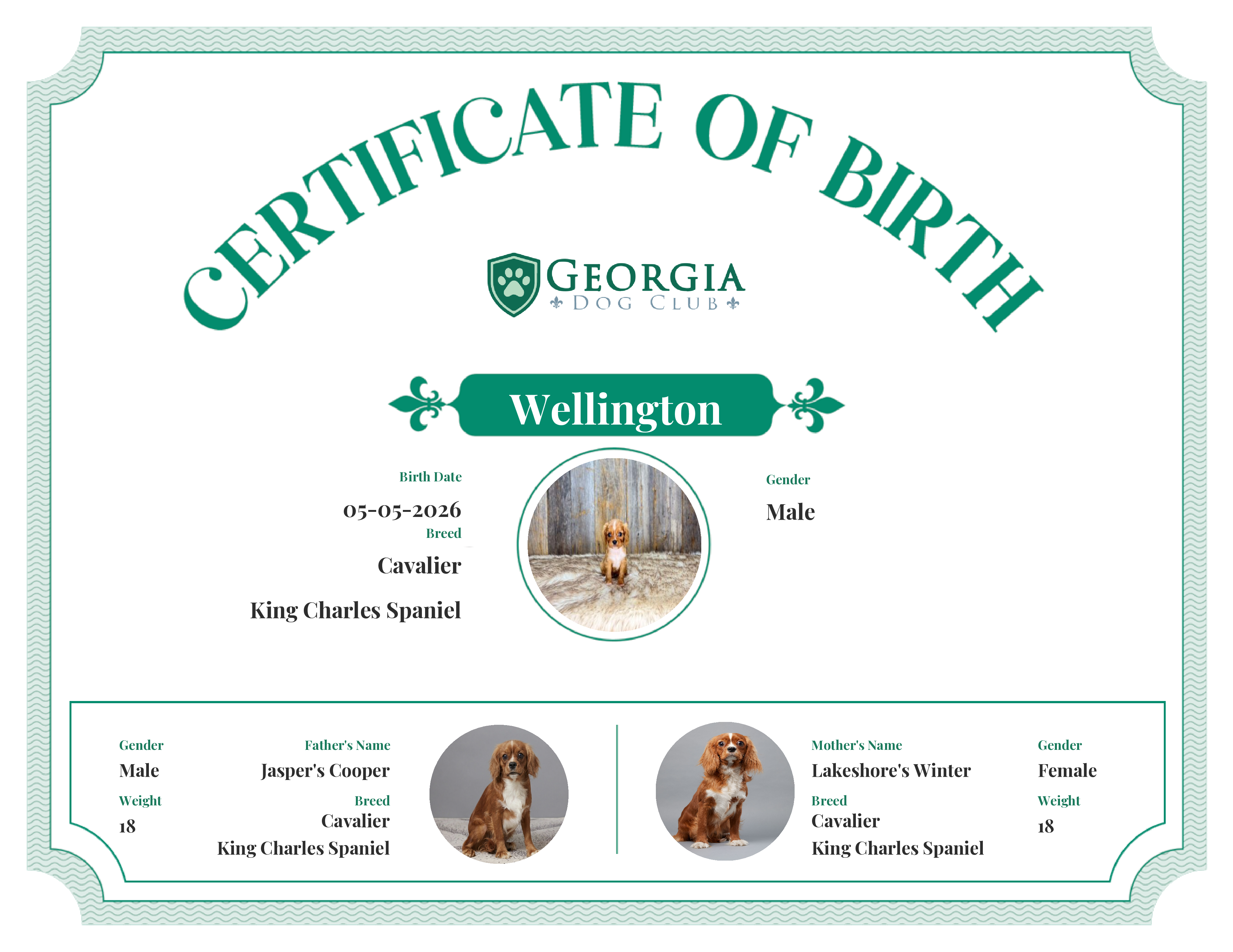 Wellington's Birth Certificate