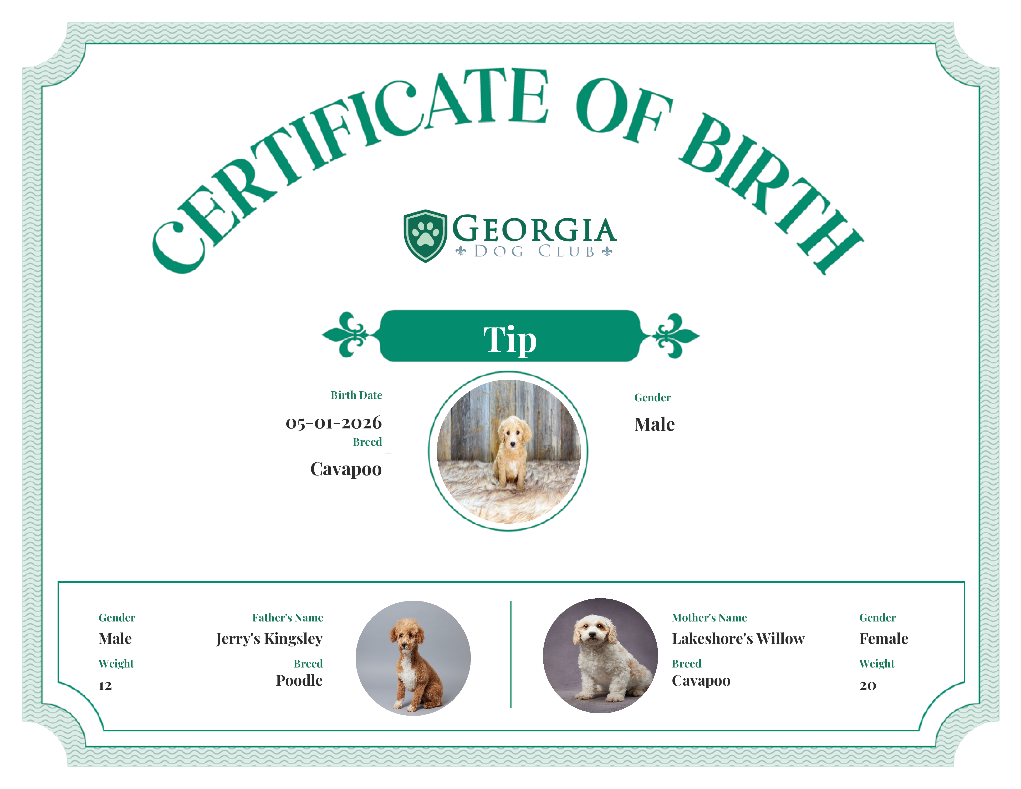 Tip's Birth Certificate