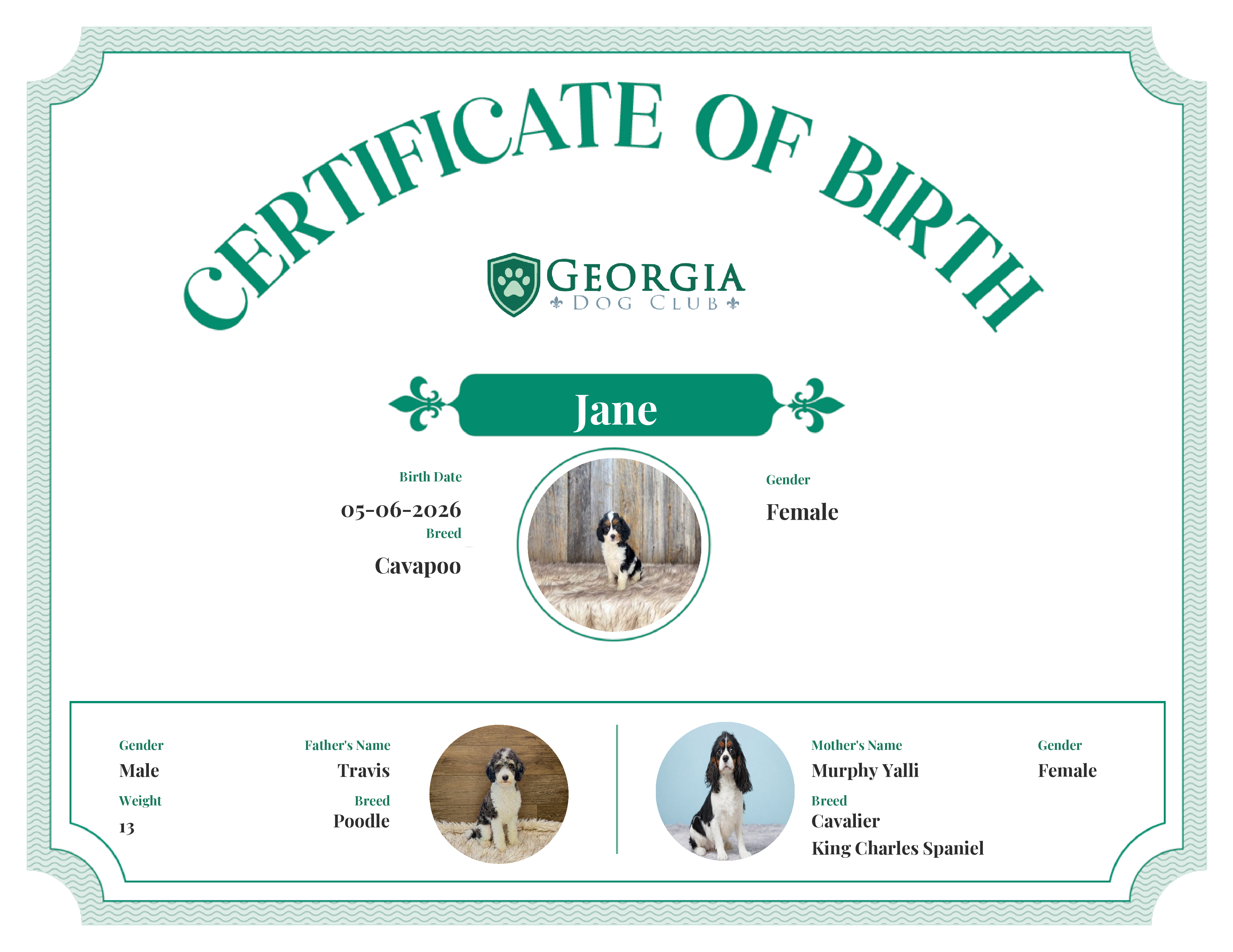Jane's Birth Certificate
