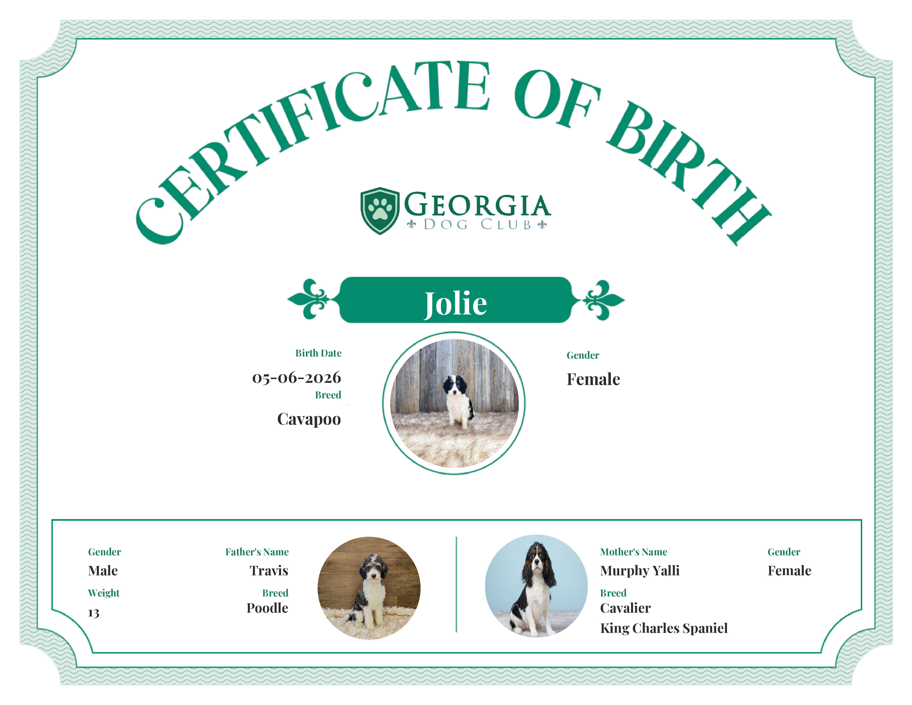 Jolie's Birth Certificate