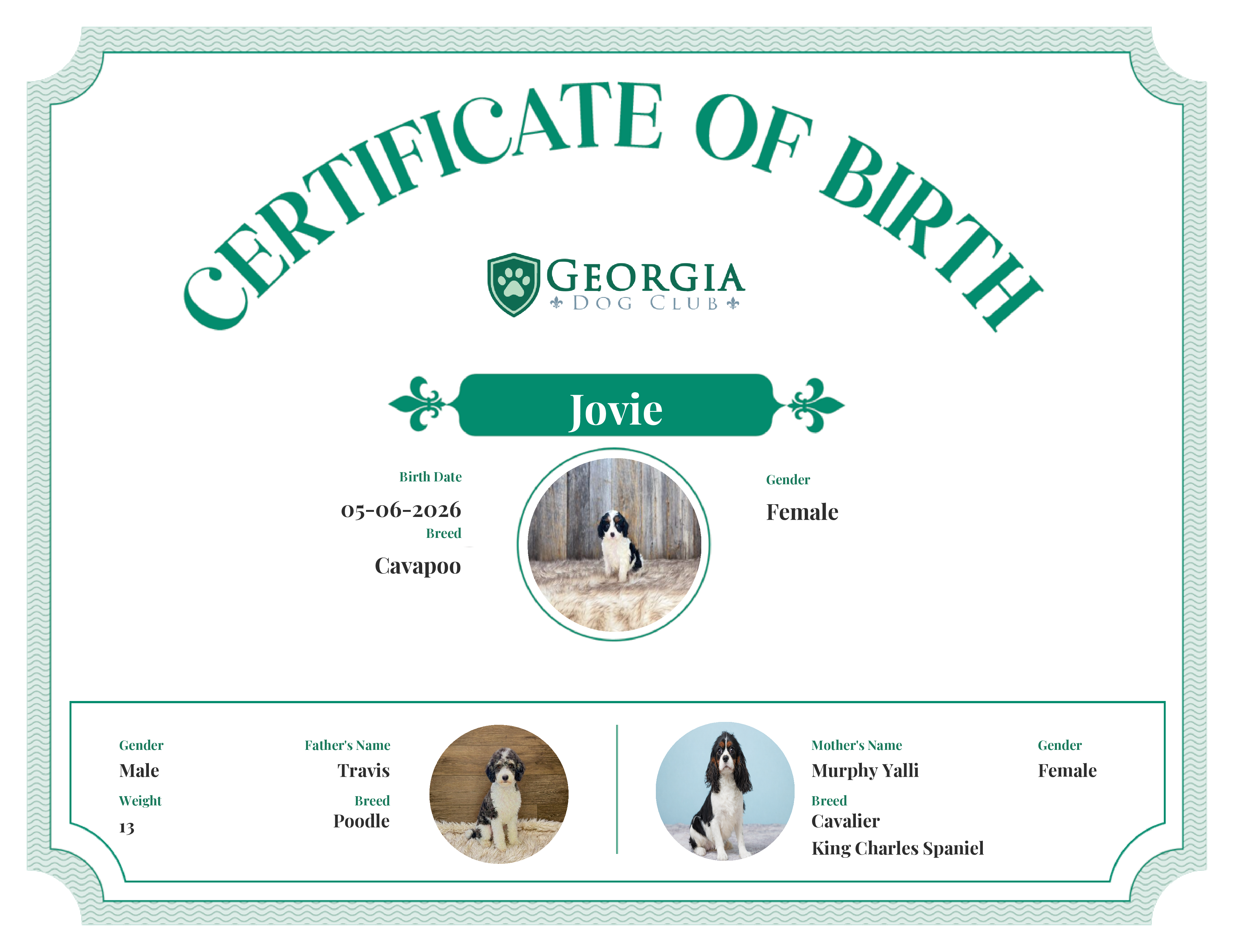 Jovie's Birth Certificate
