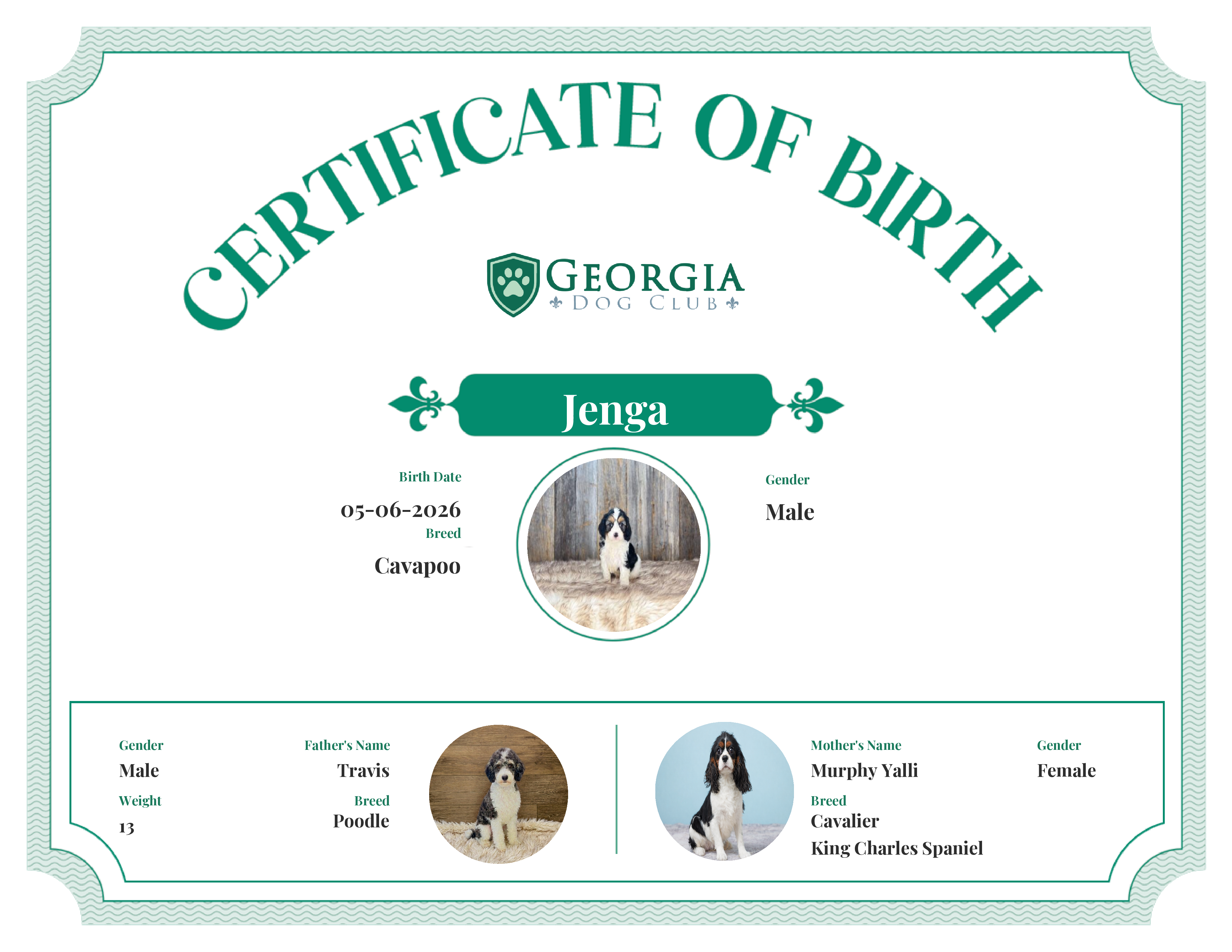 Jenga's Birth Certificate