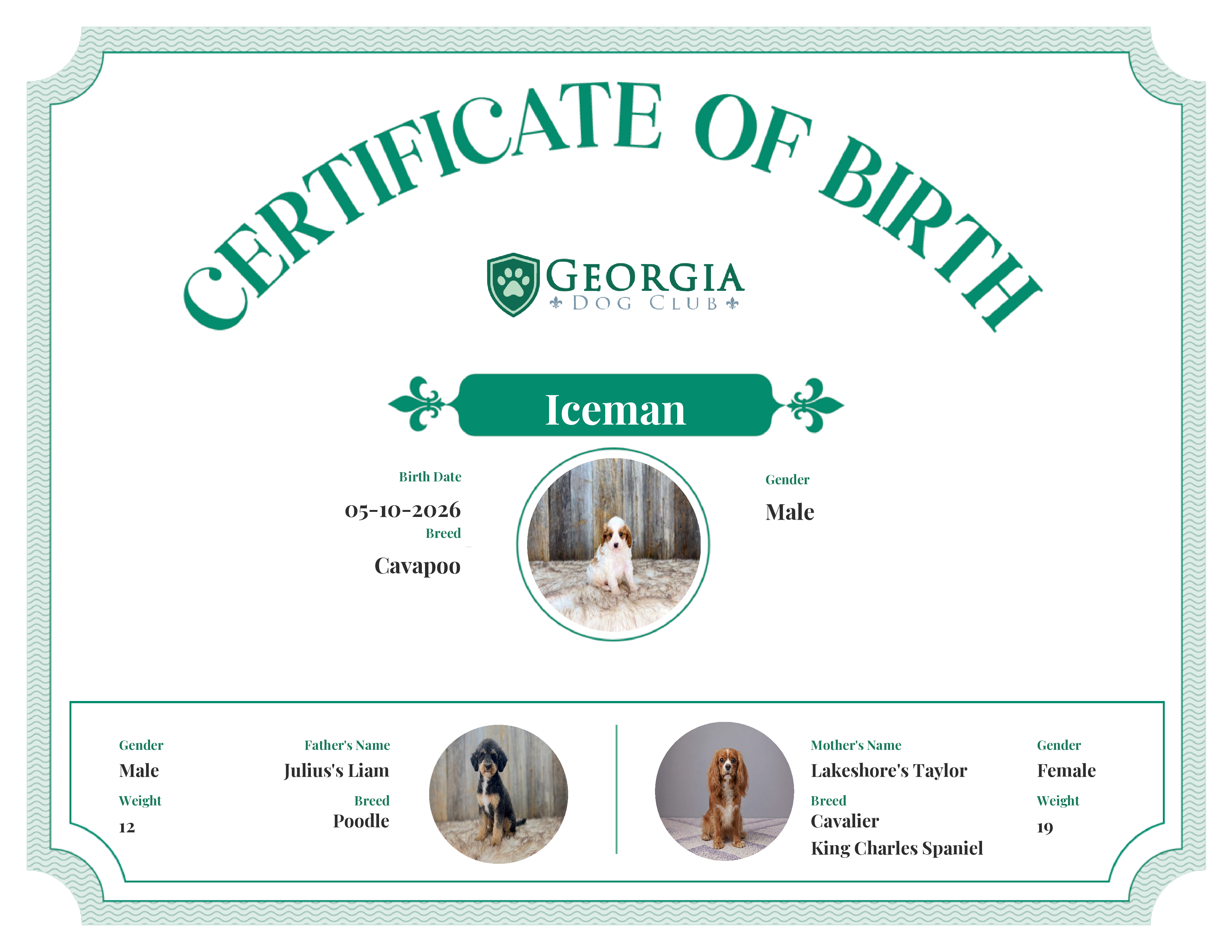 Iceman's Birth Certificate