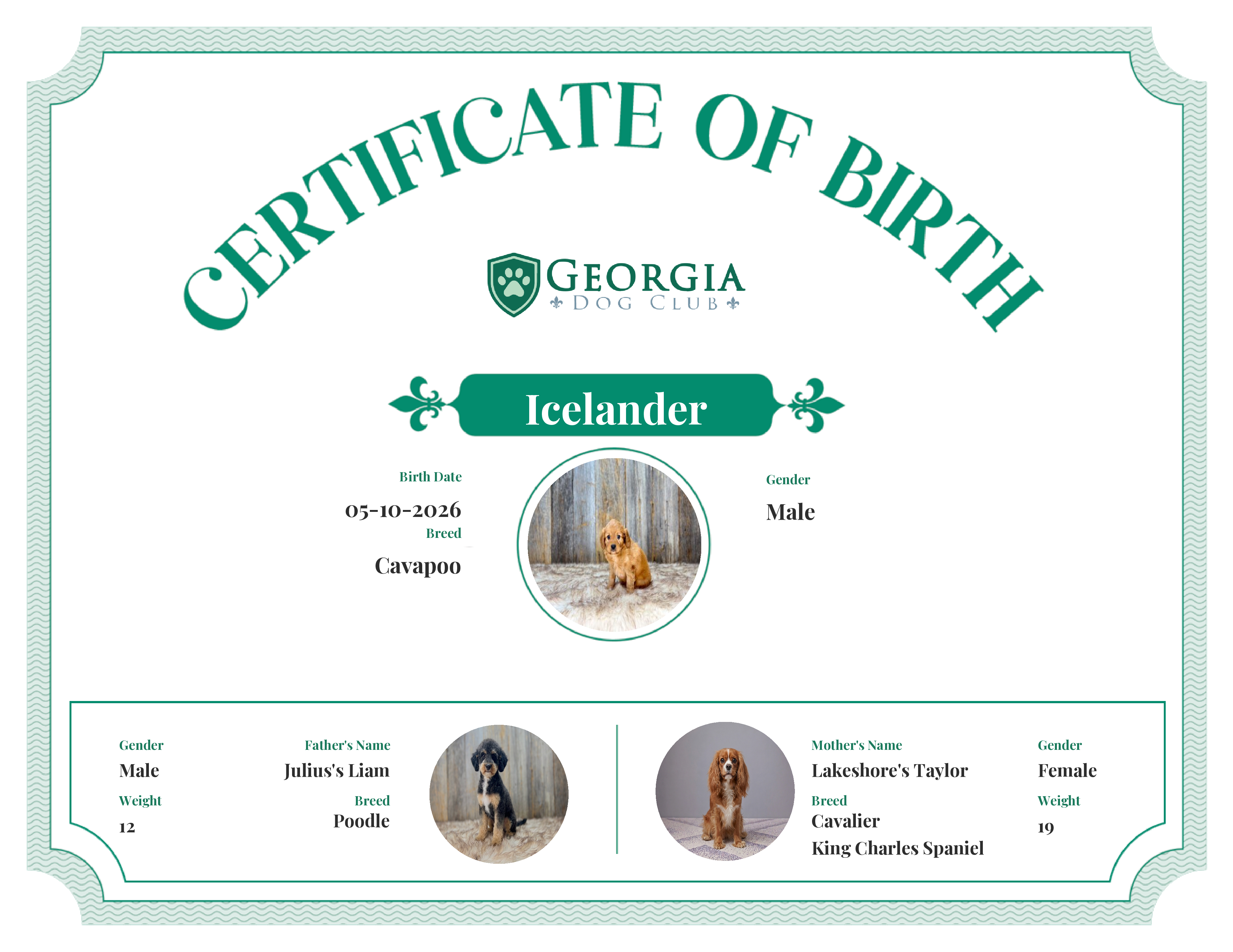 Icelander's Birth Certificate