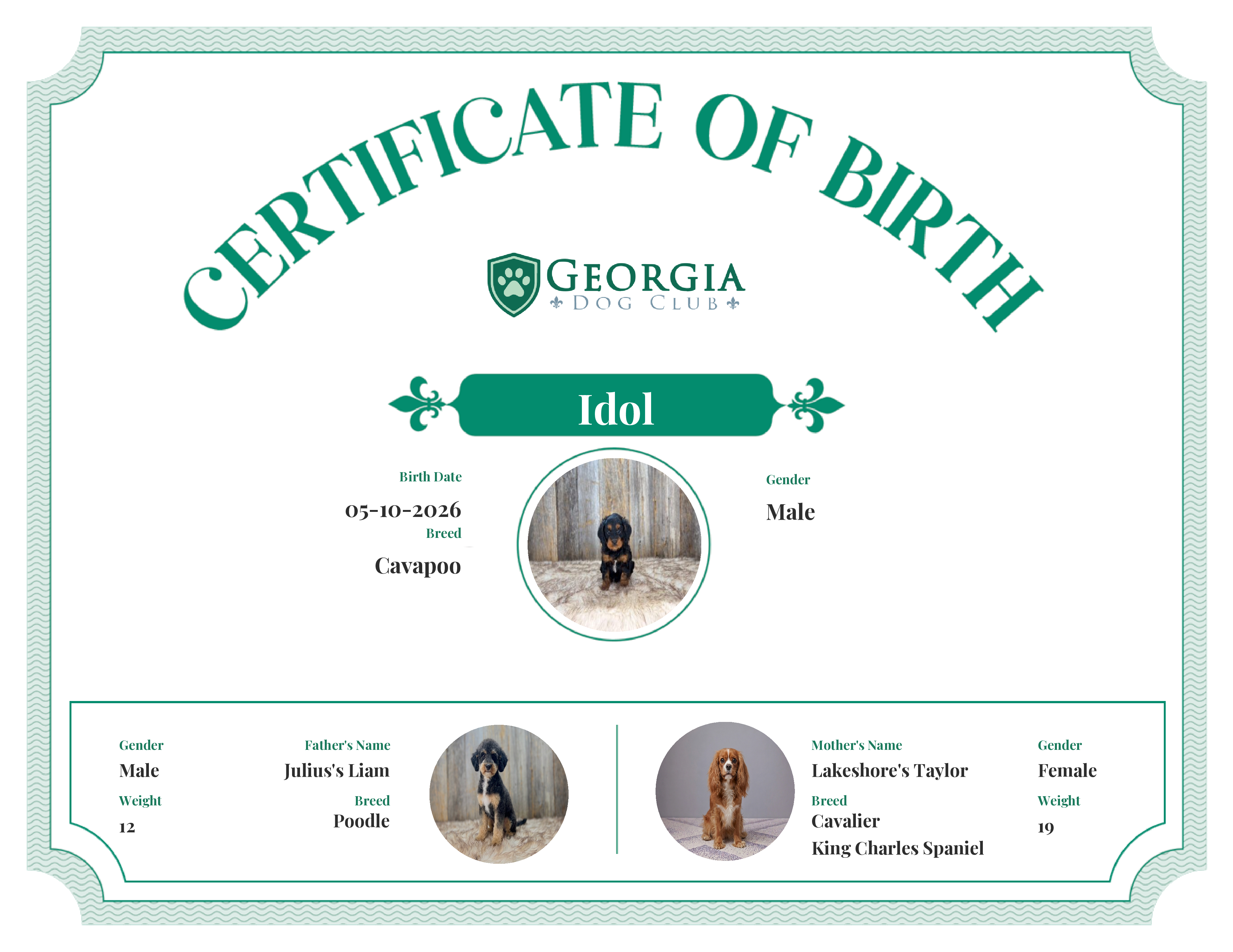 Idol's Birth Certificate