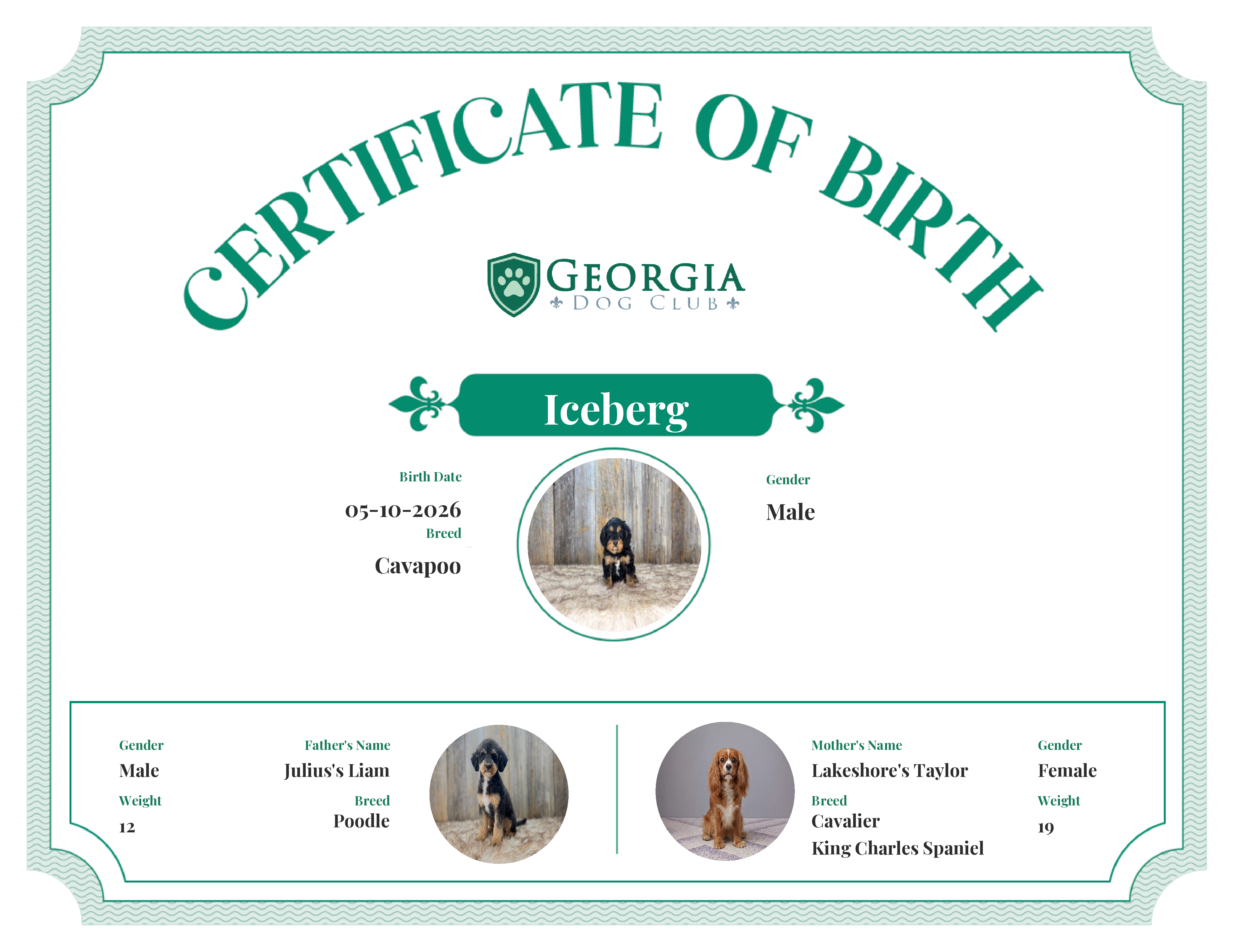 Iceberg's Birth Certificate