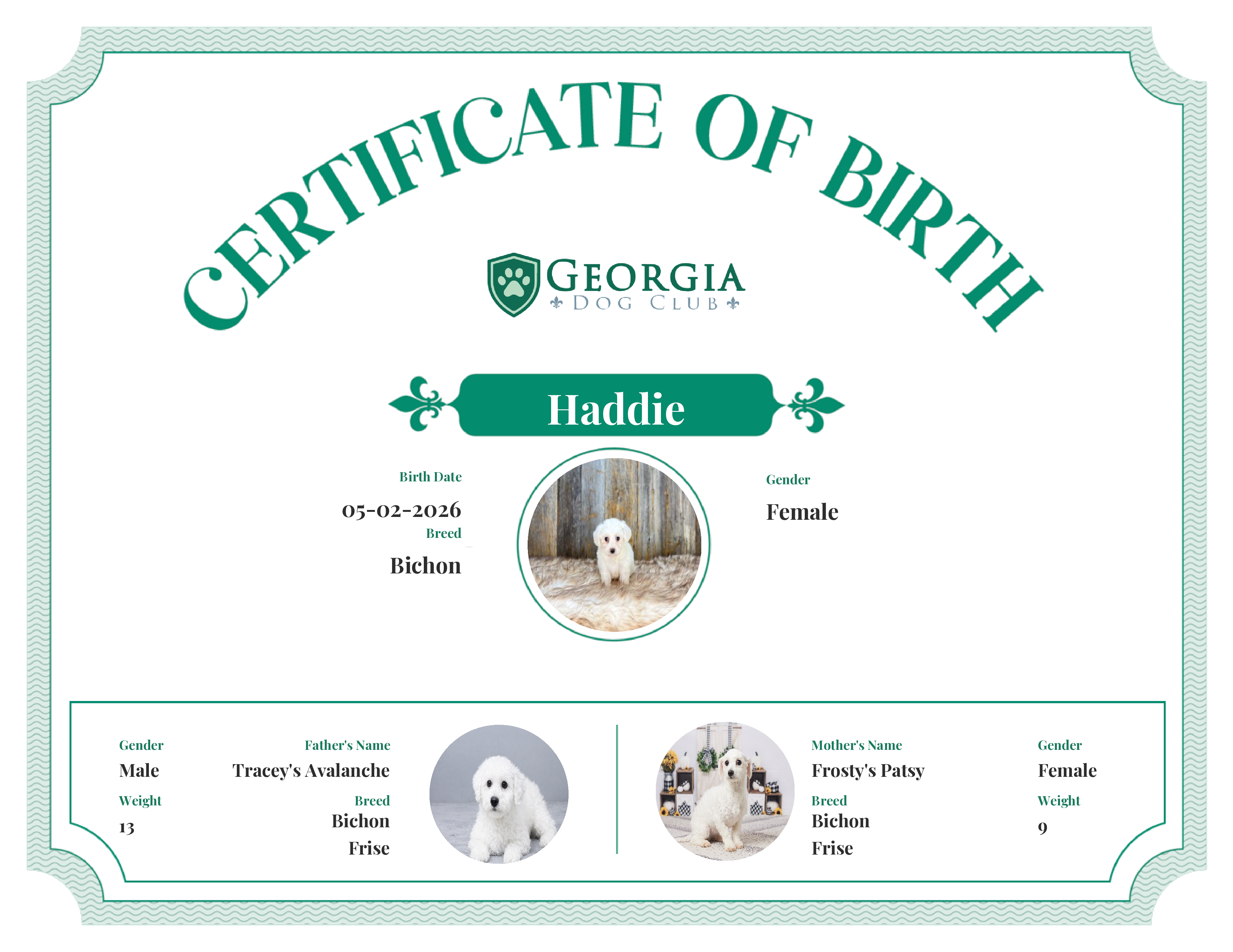 Haddie's Birth Certificate