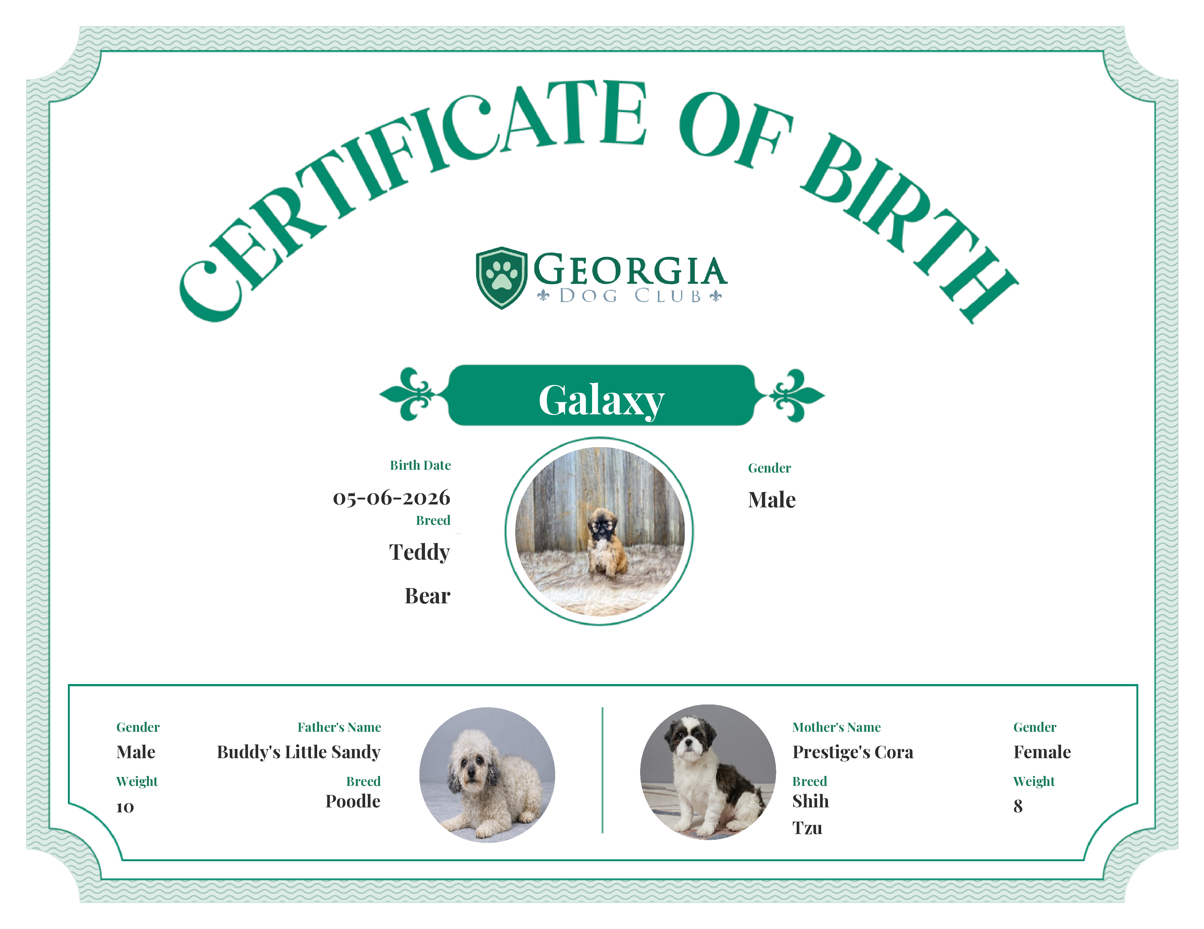 Galaxy's Birth Certificate