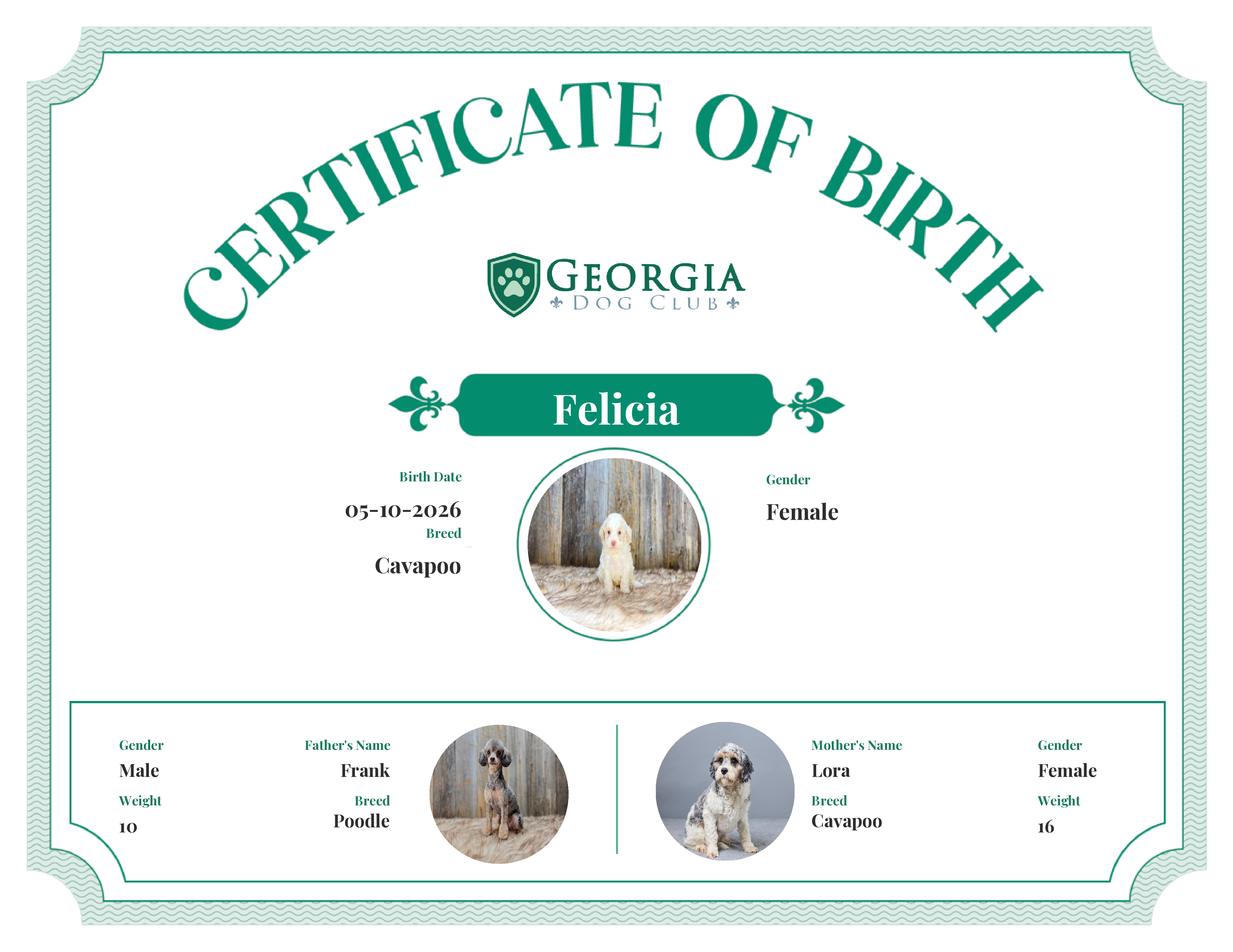 Felicia's Birth Certificate