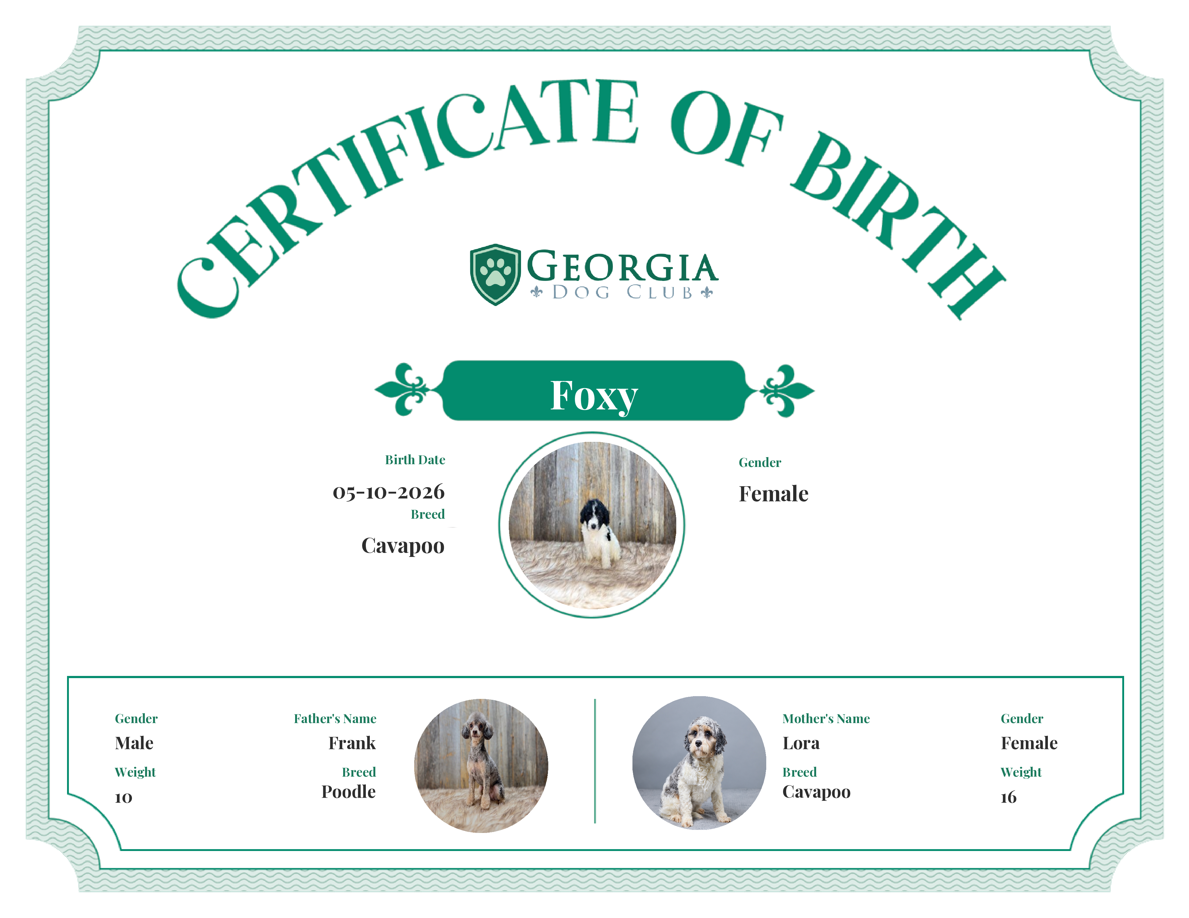 Foxy's Birth Certificate
