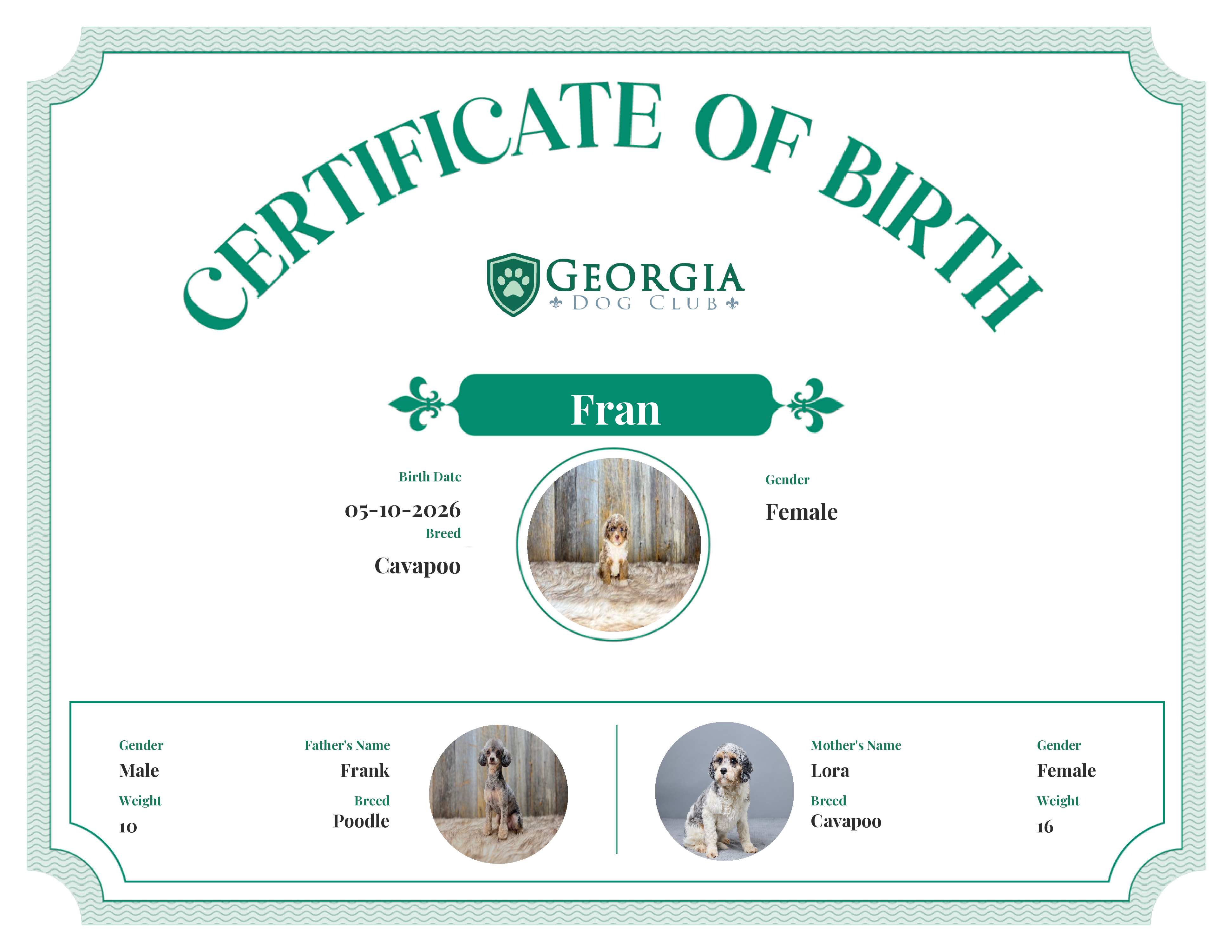 Fran's Birth Certificate