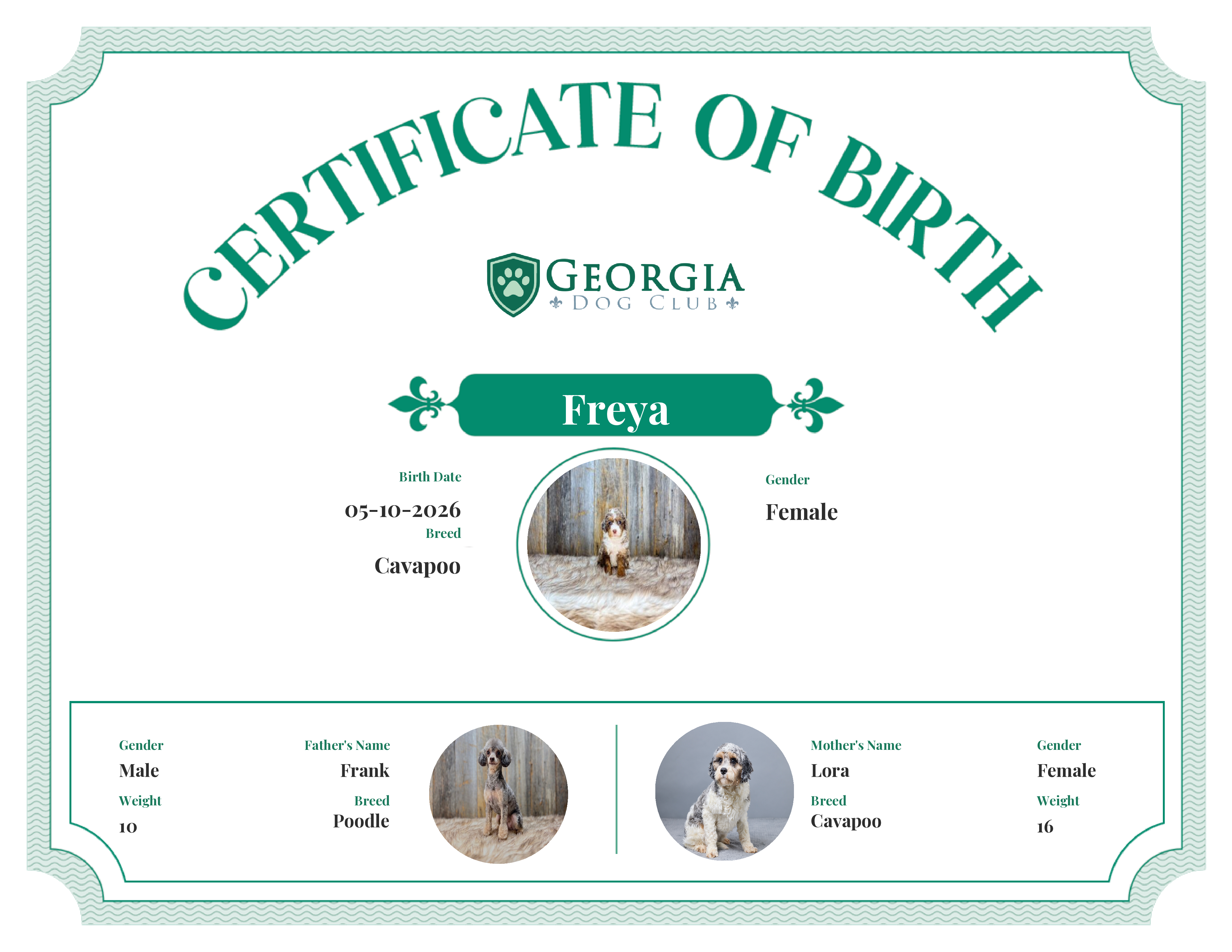 Freya's Birth Certificate
