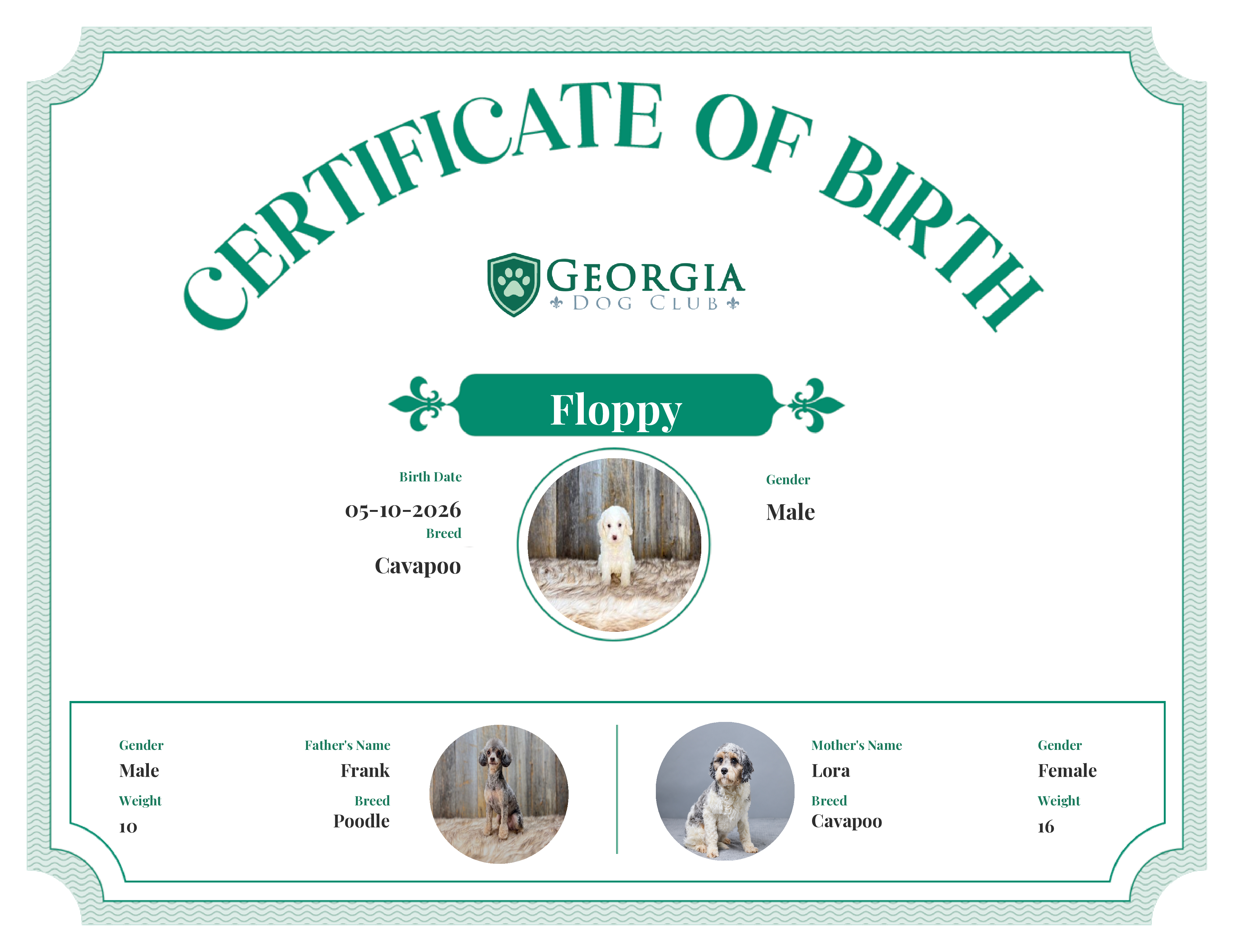 Floppy's Birth Certificate