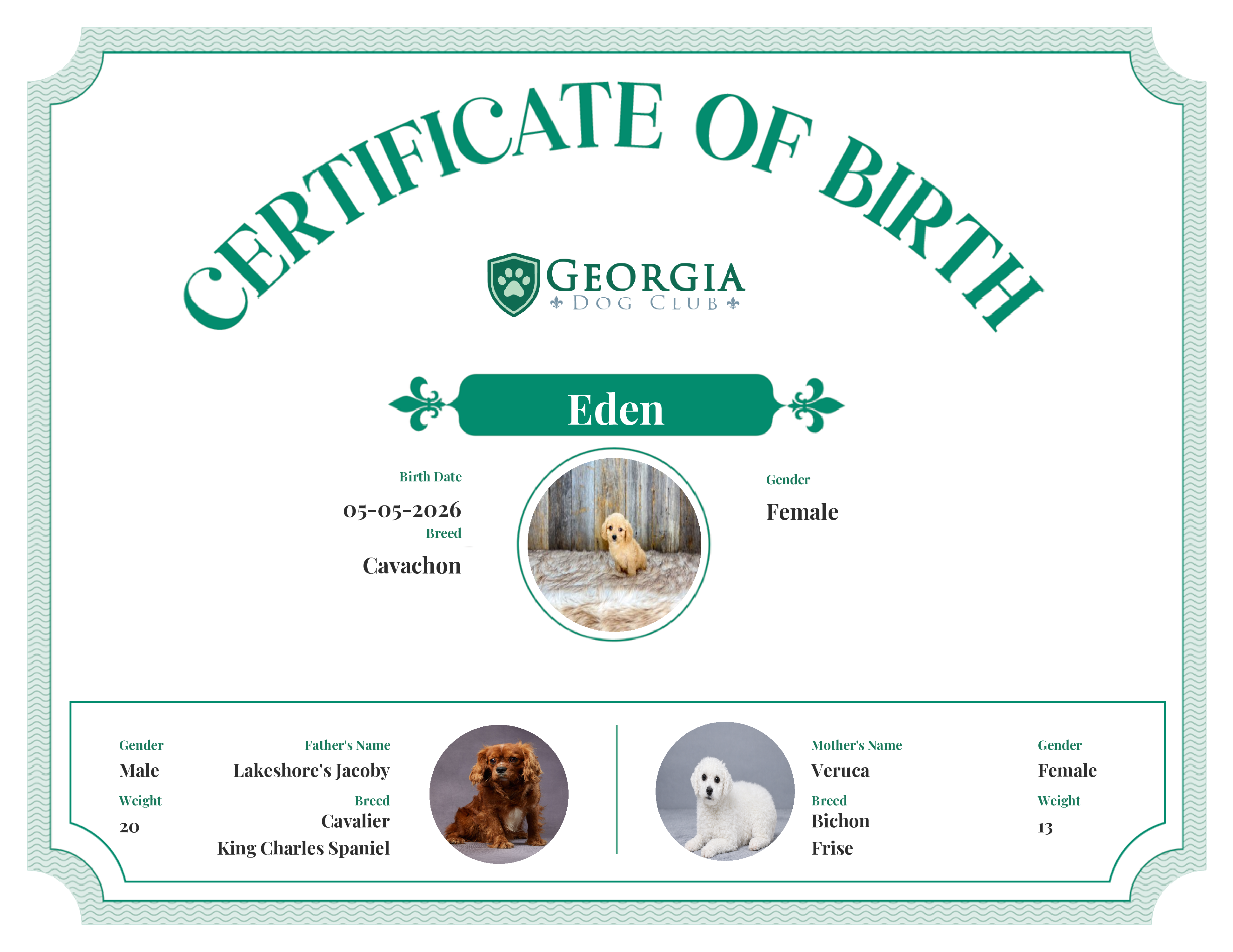 Eden's Birth Certificate