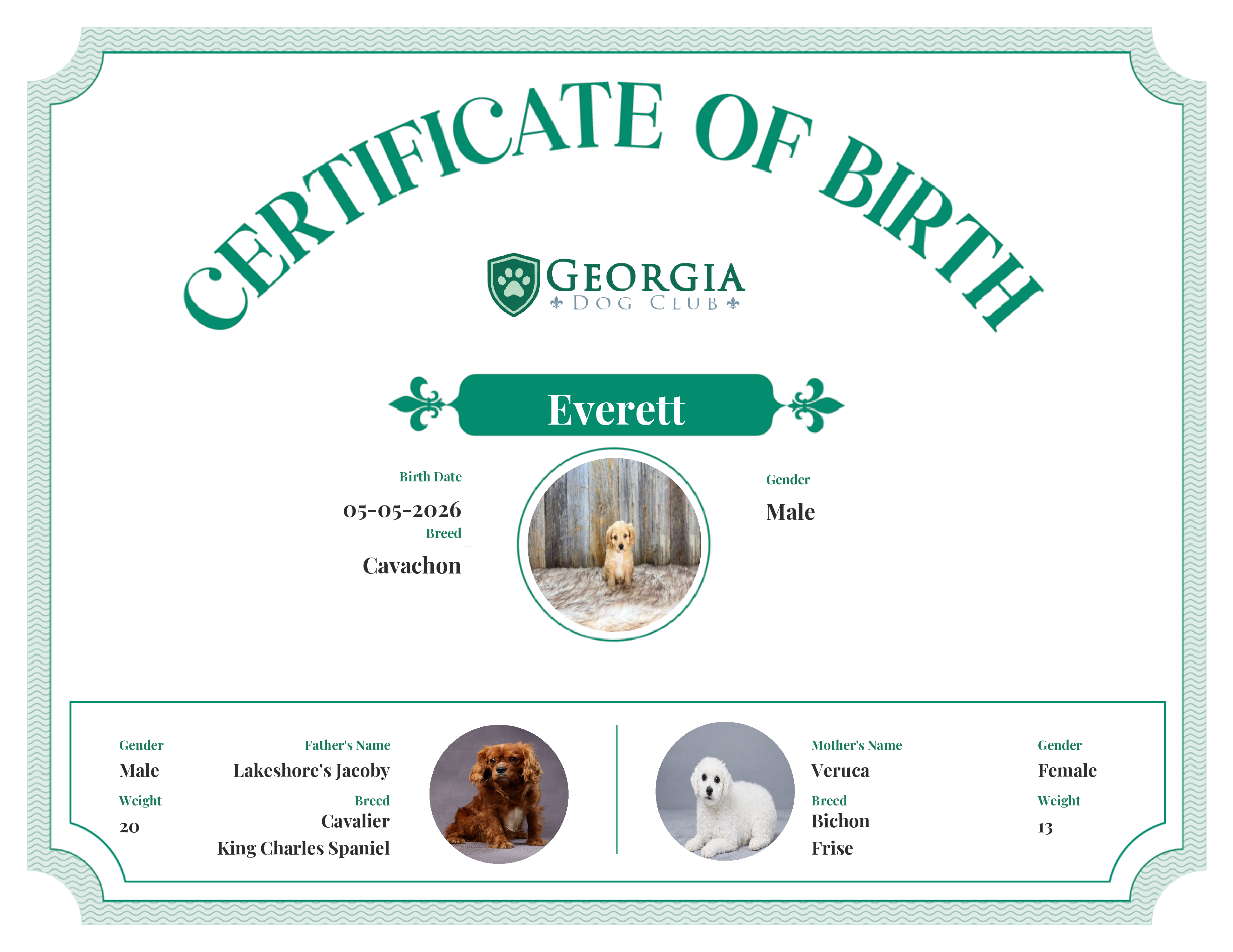 Everett's Birth Certificate