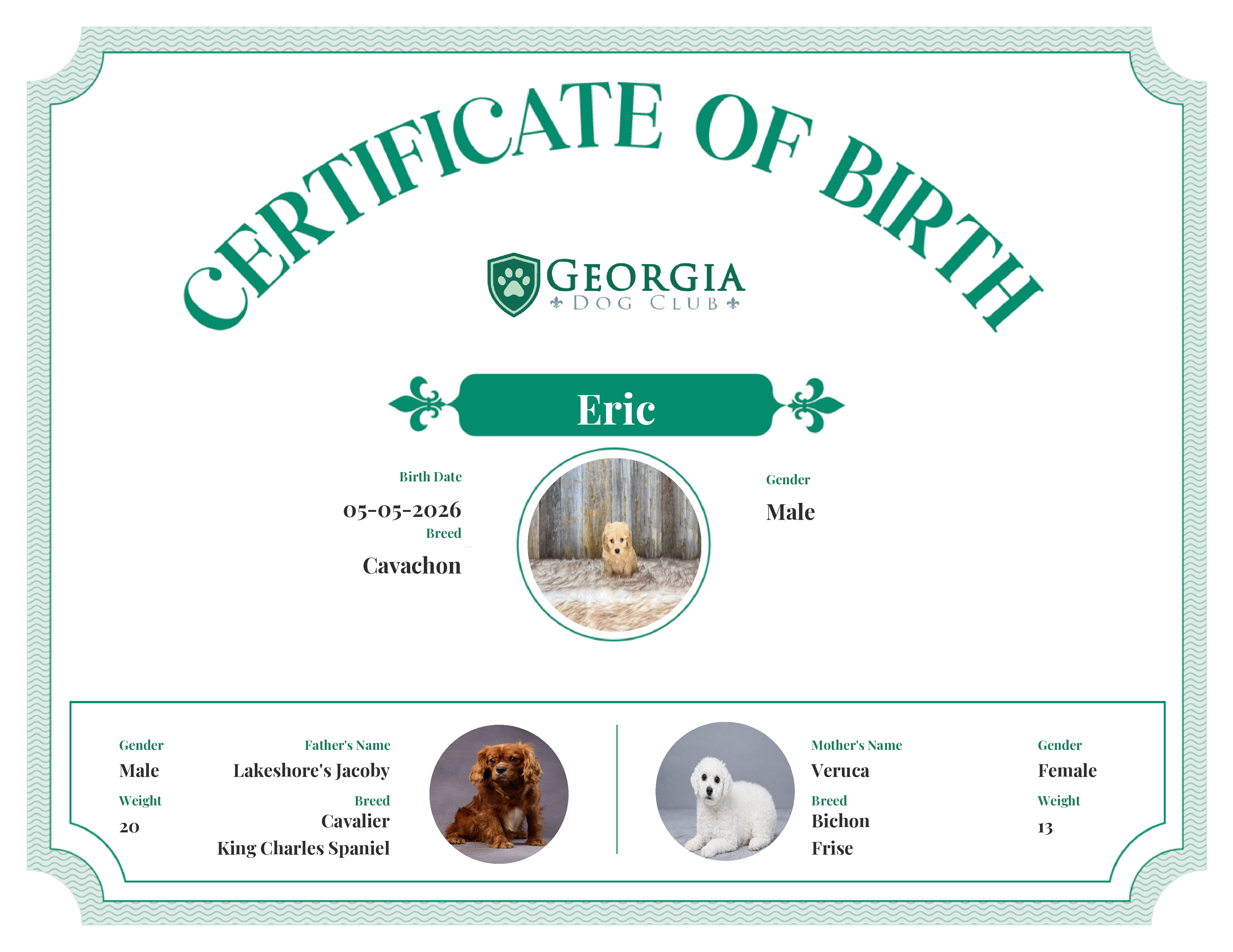 Eric's Birth Certificate