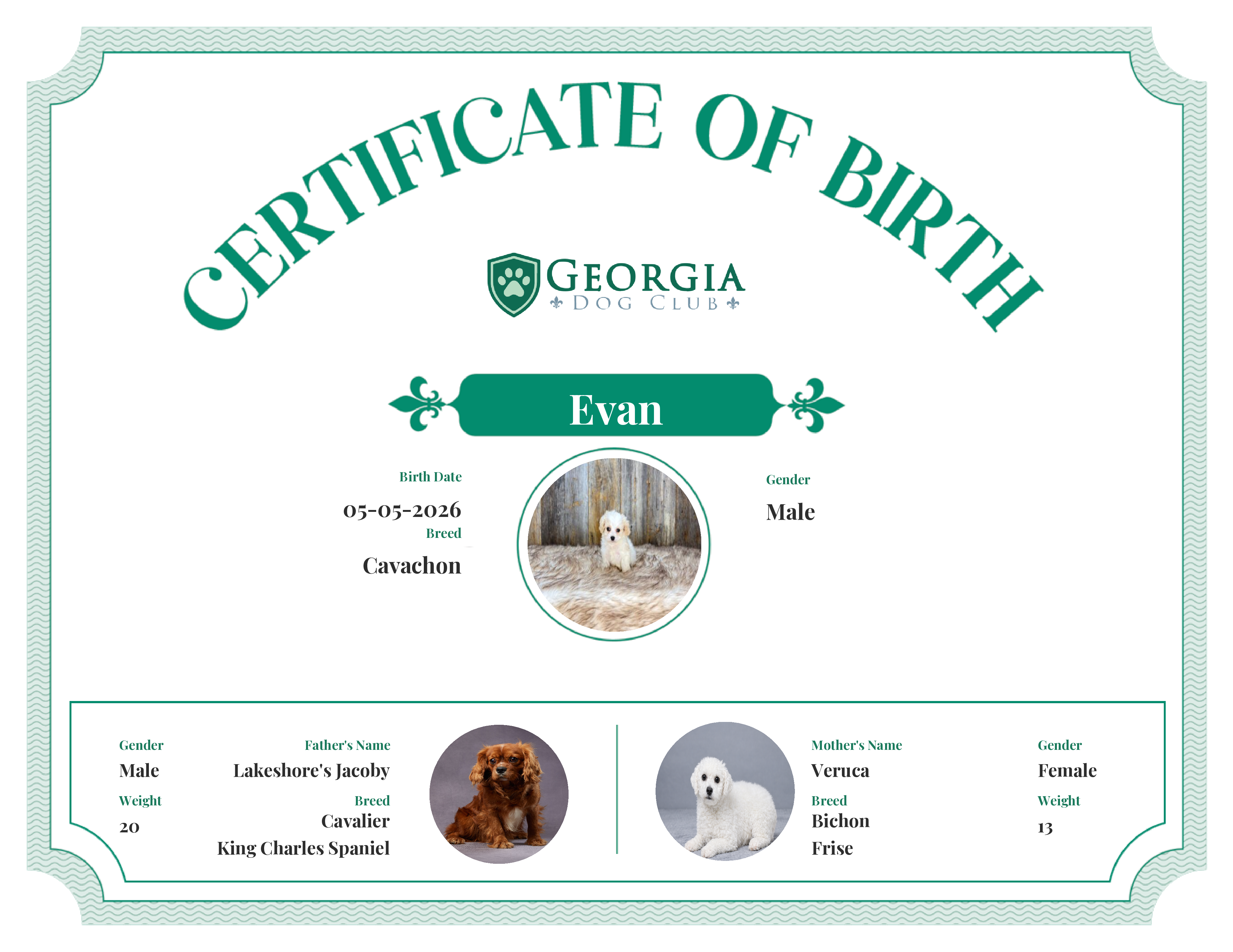 Evan's Birth Certificate
